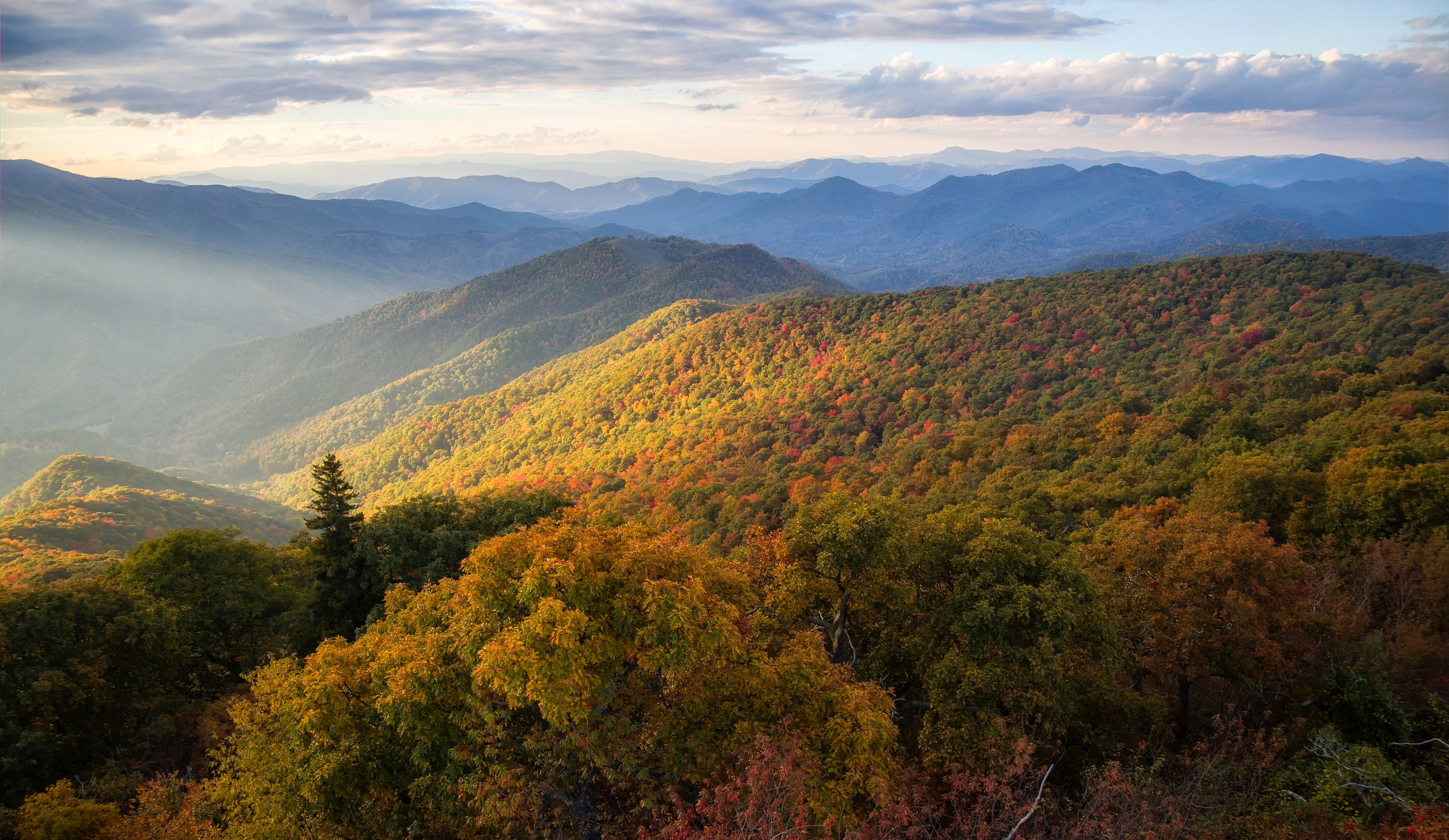 Wallpaper USA North Carolina Nature Autumn mountain forest 3000x1740
