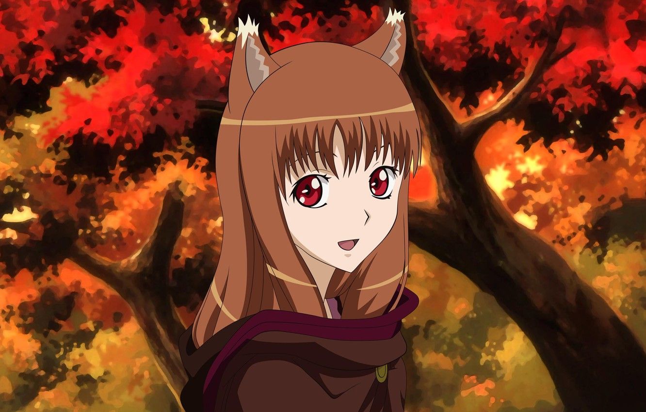 Wallpaper autumn, Horo, Spice and wolf, Holo, Holo The Wise Wolf image for desktop, section сэйнэн