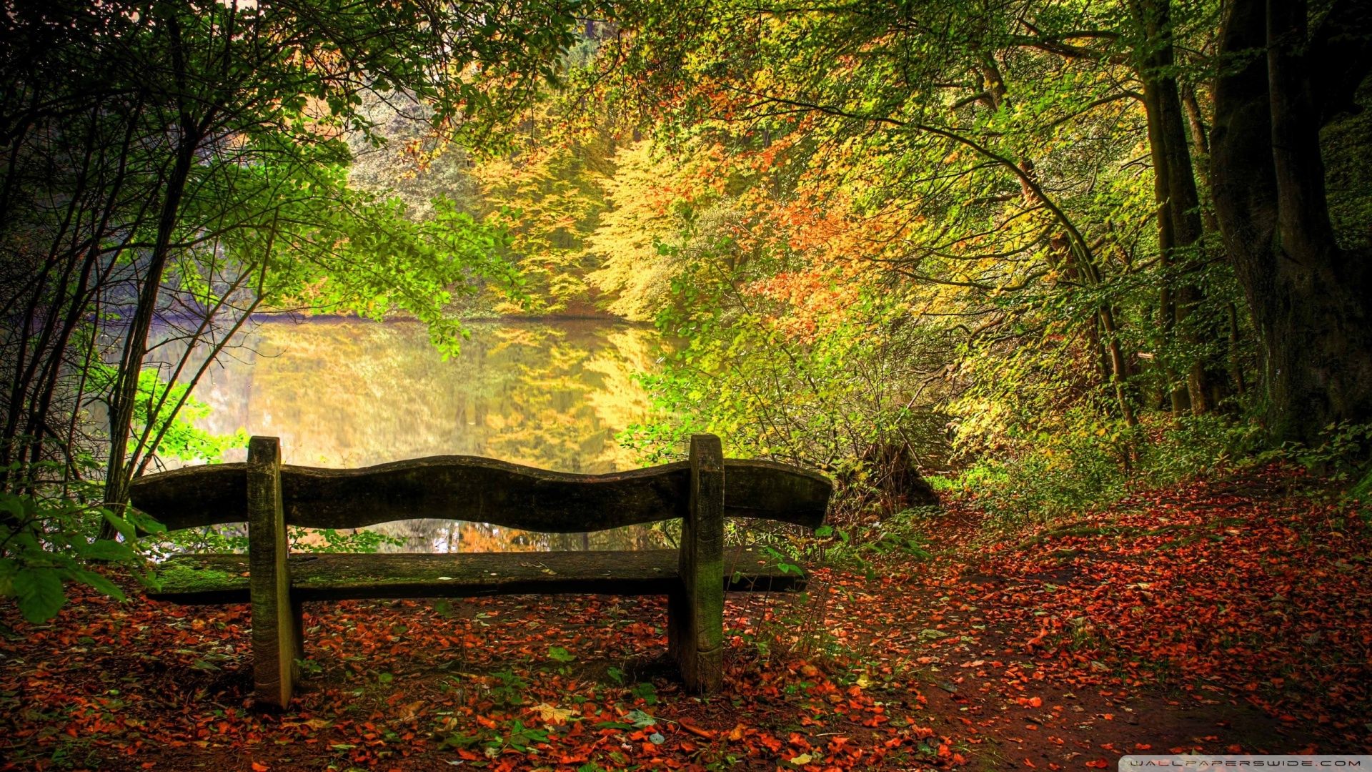 Download Empty Bench In Fall Scene Wallpaper 1920x1080