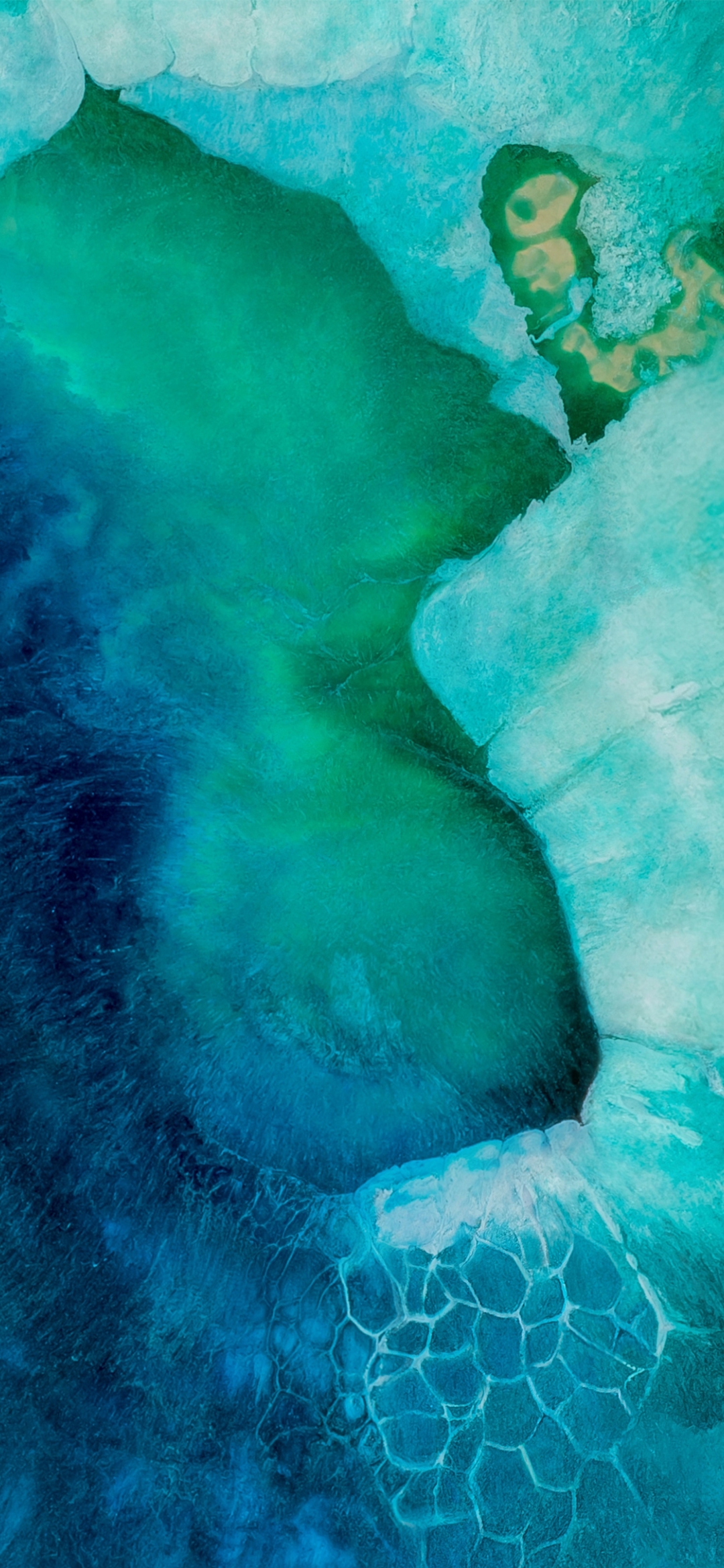 Wallpaper Share HONOR V30 Pro Wallpaper!