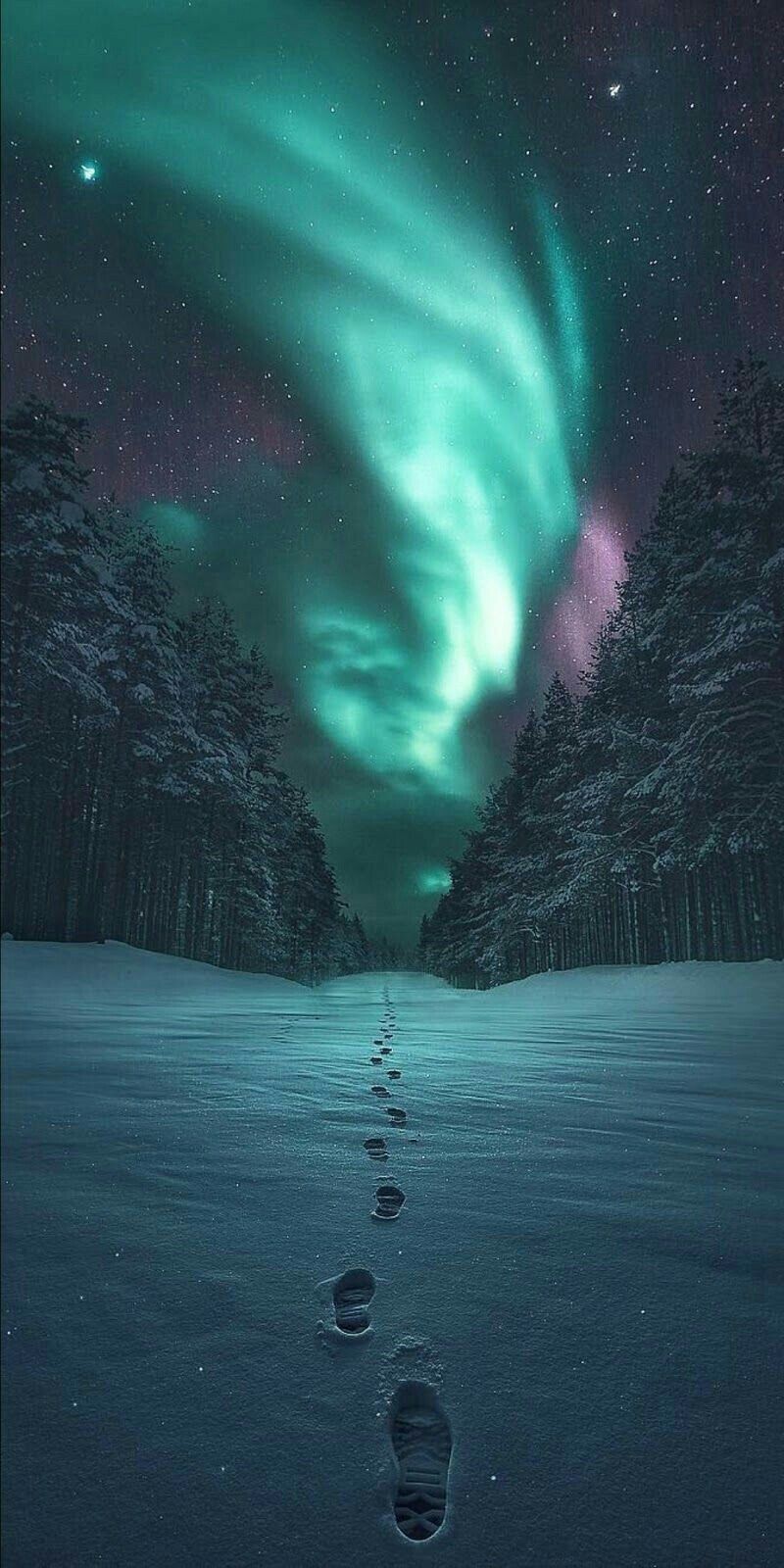Northern Lights Aurora Borealis Night Sky Scenery 4K Wallpaper 6438