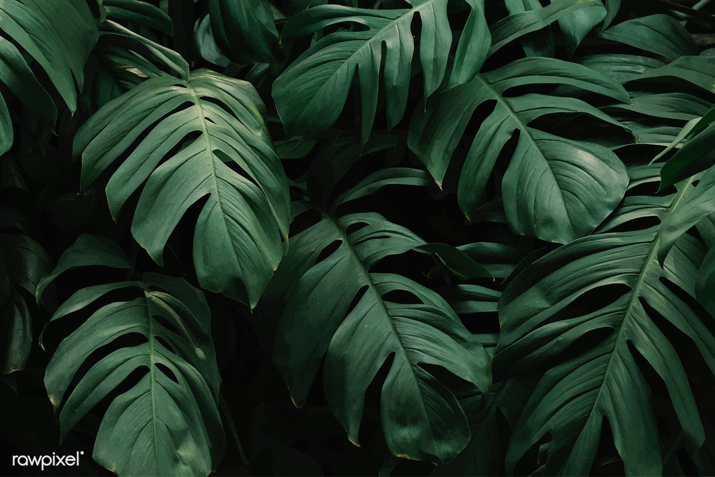 Download premium vector of Green tropical leaves background vector 597507. Green leaf background, Leaf background, Nature background