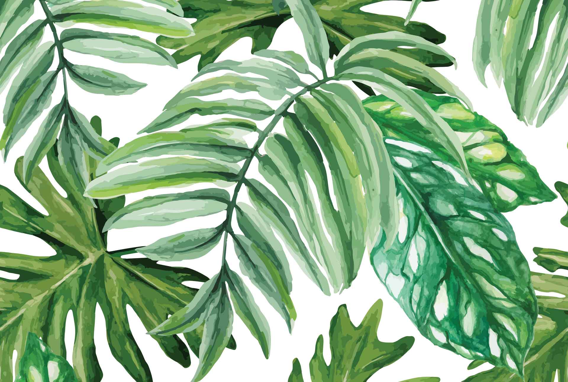 Tropical Palm Leaves Leaves Desktop Background HD Wallpaper