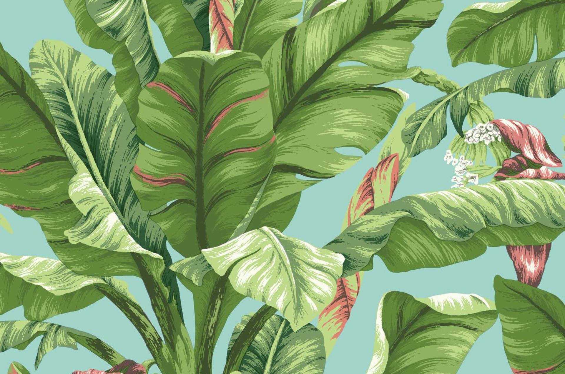 Banana Leaf Wallpaper HD