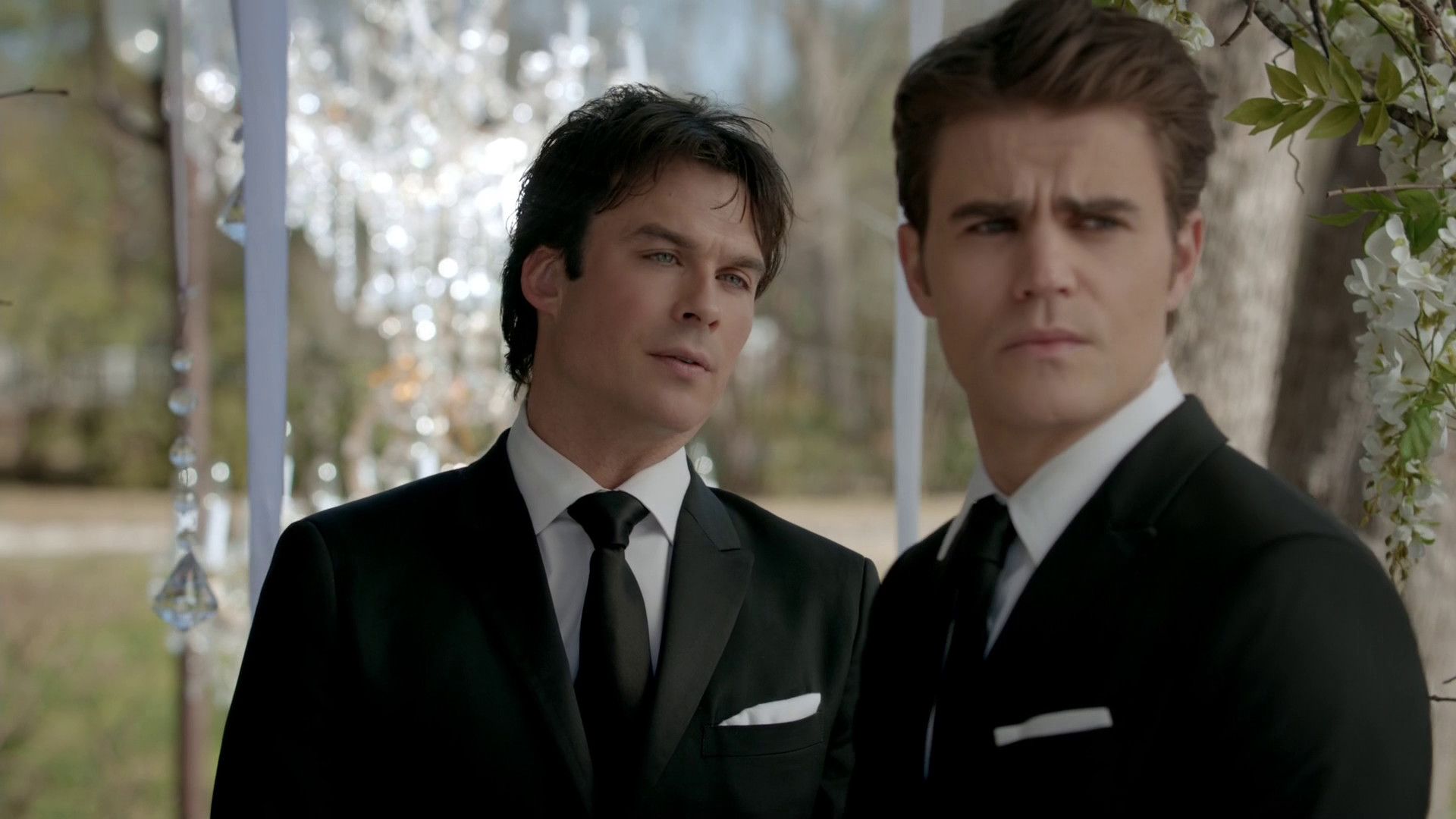Stefan And Damon Salvatore Wallpaper And Damon Together, Download Wallpaper