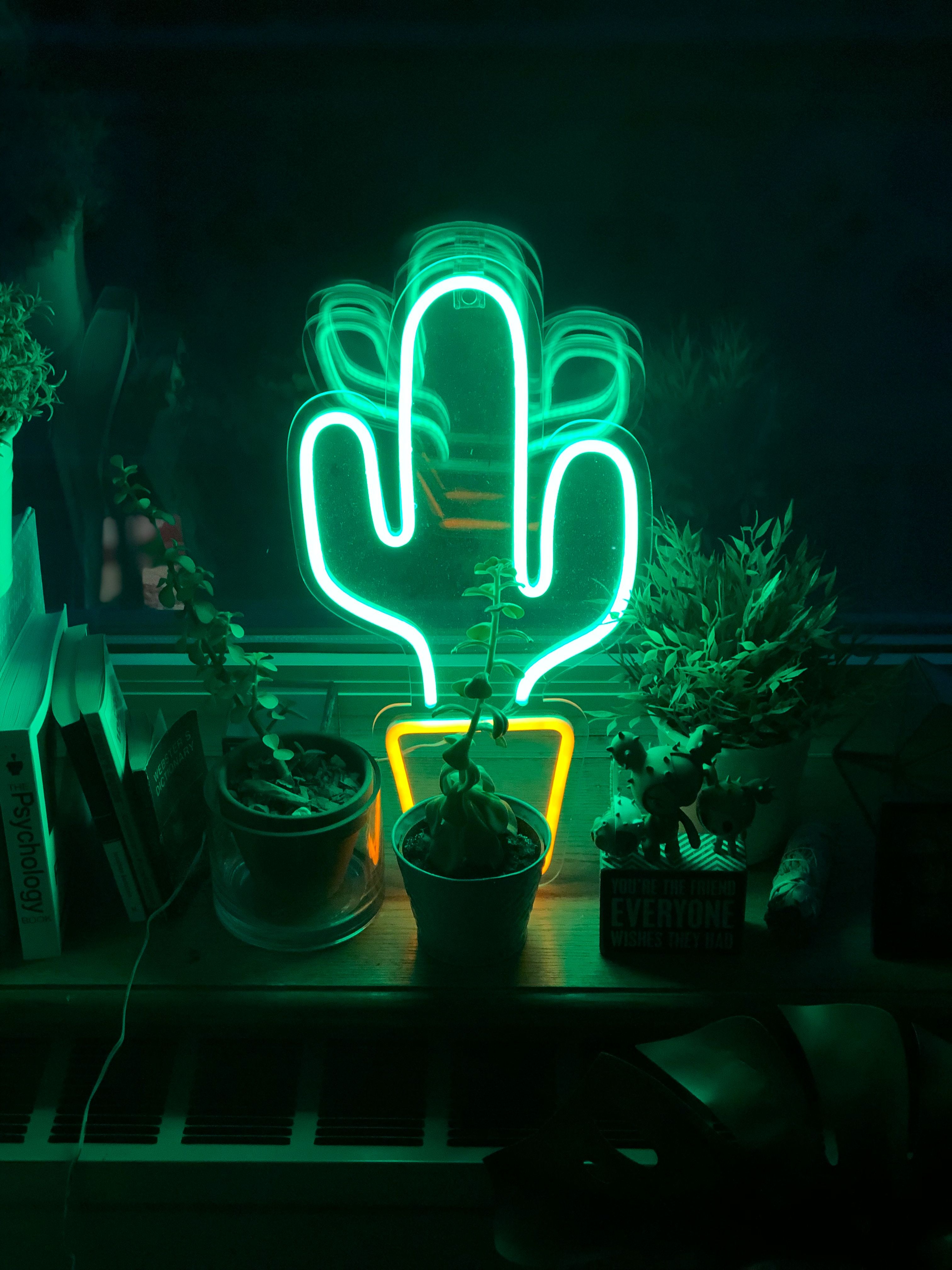 Page 3  neon green aesthetic HD wallpapers  Pxfuel