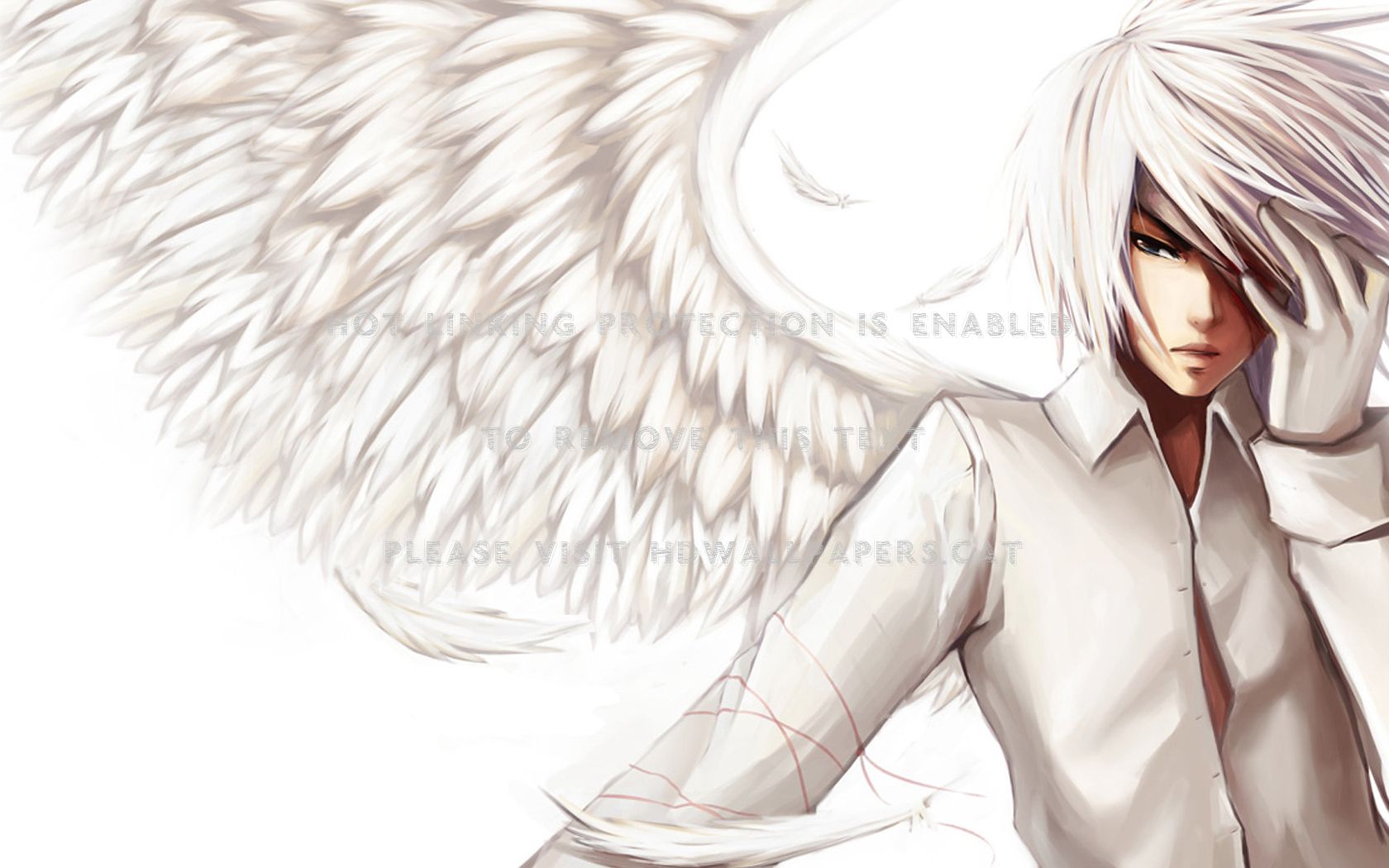 wings angel anime boy white hair