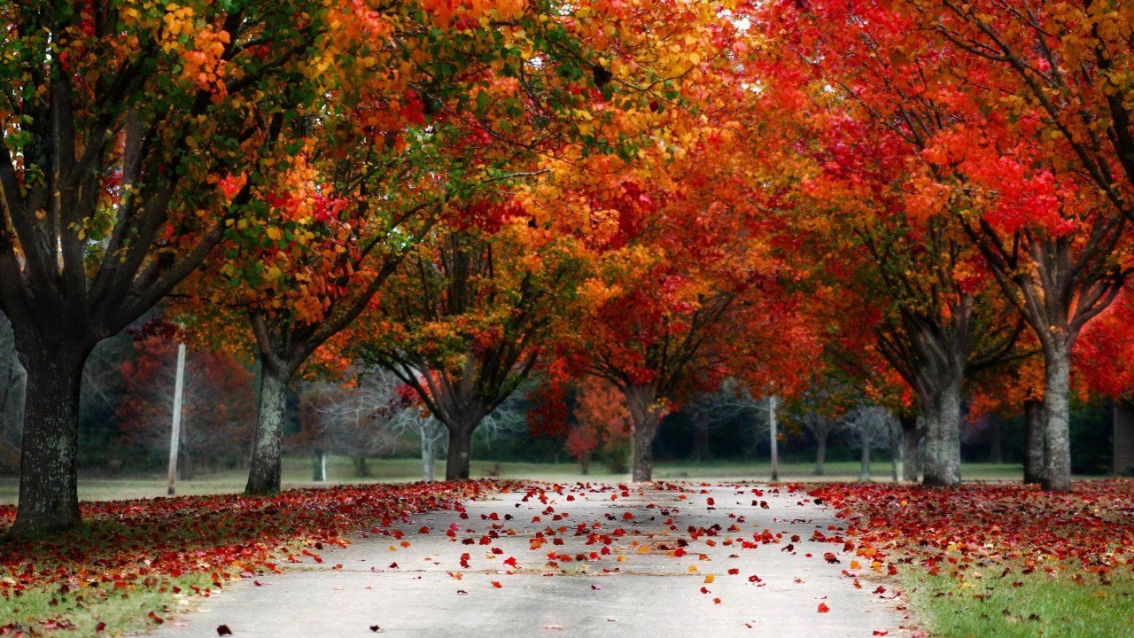 15++ Desktop Autumn Wallpaper HD