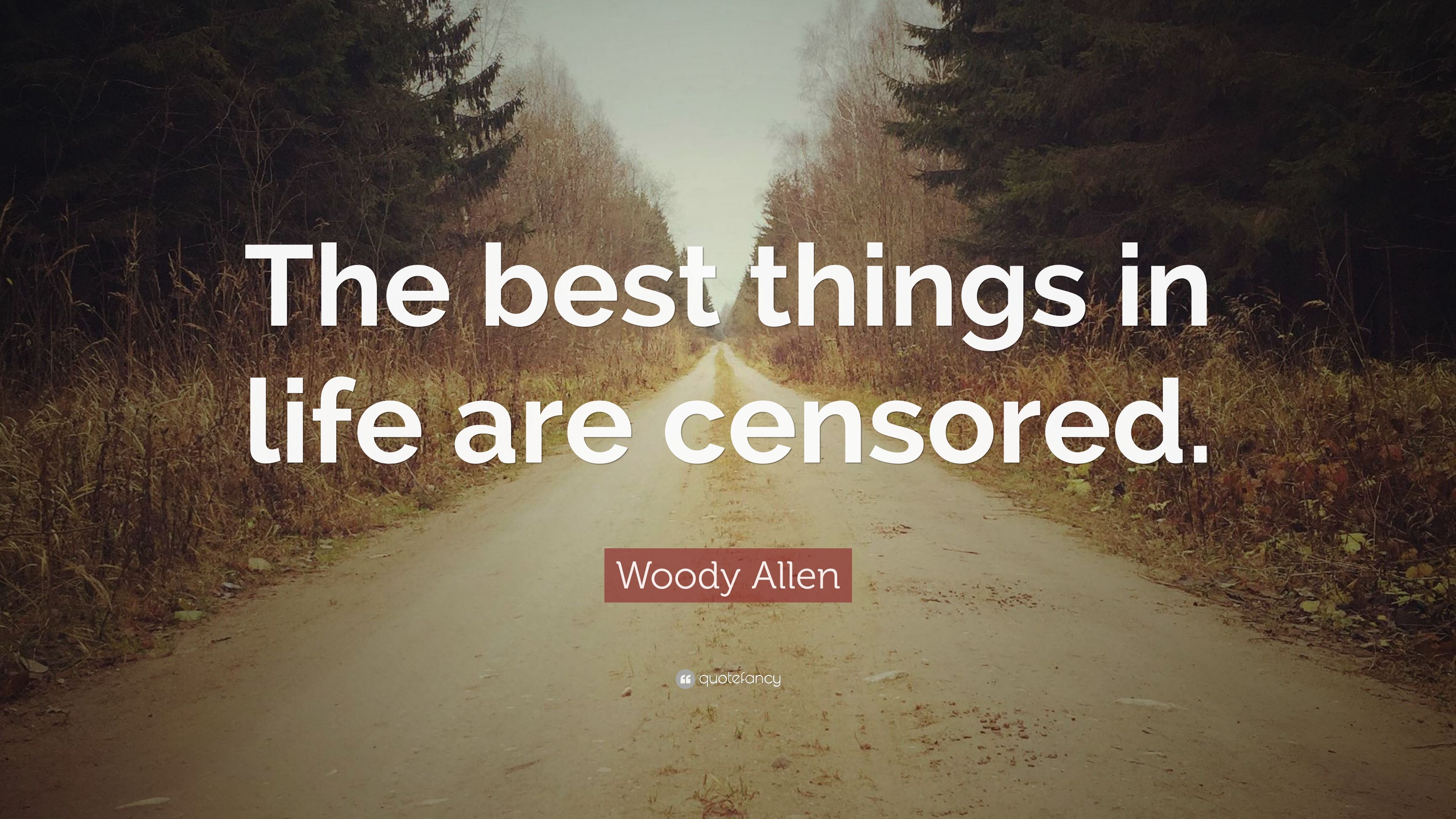 Woody Allen Quote: “The best things in life are censored.” (9 wallpaper)