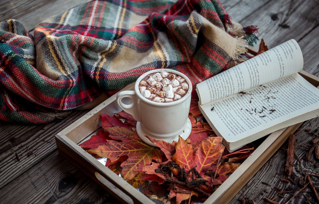 Wallpaper wood, background, autumn, leaves, book, cocoa, tray, blanket, plaid, hot chocolate, marshmallow, marshmallows, hot cocoa image for desktop, section еда