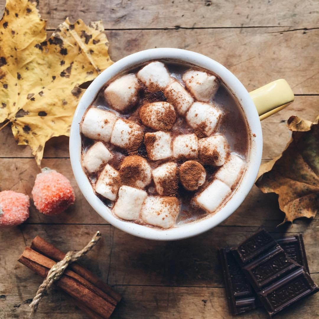 AERO on Instagram: “hot chocolate fixes everything.”. Hot chocolate, Food, Eat