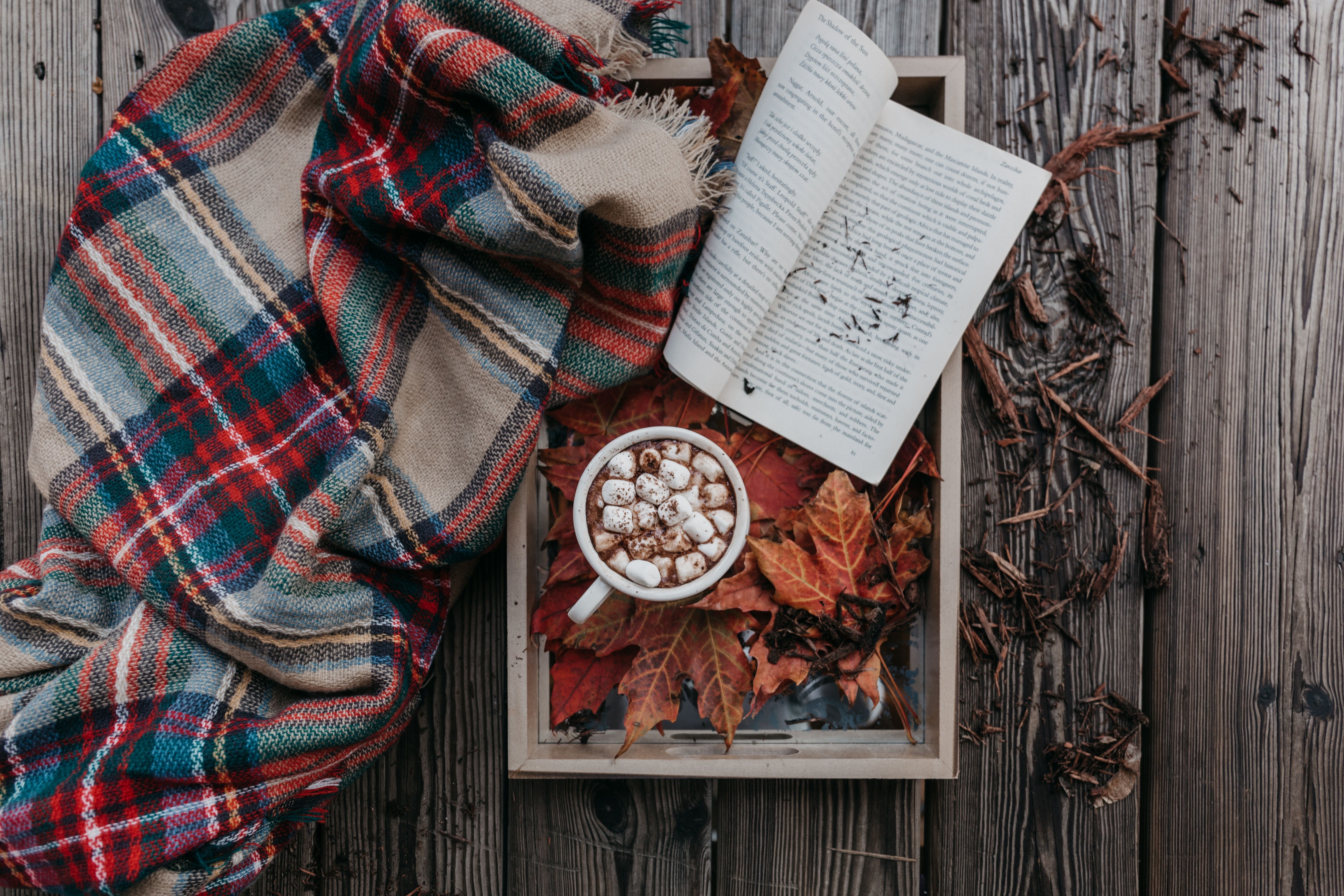 5760x3840 #topdown, #table, #wooden, #hot chocolate, #fall leafe, #leaf, #blanket, #leaves, #autumn, #read, #Free picture, #text, #book, #tray, #still life, #open, #on the table, #marshmallow, #cold, #fall, #drink. Mocah.org HD