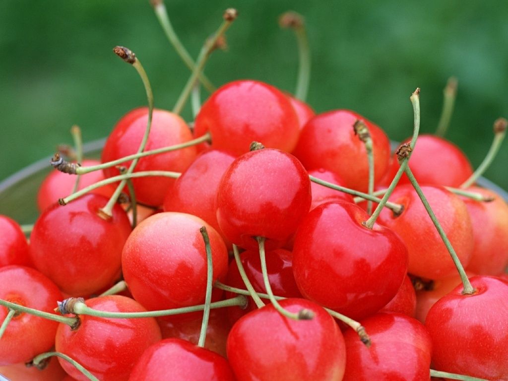 Cherry Fruit Wallpapers Wallpaper Cave Wp7623377
