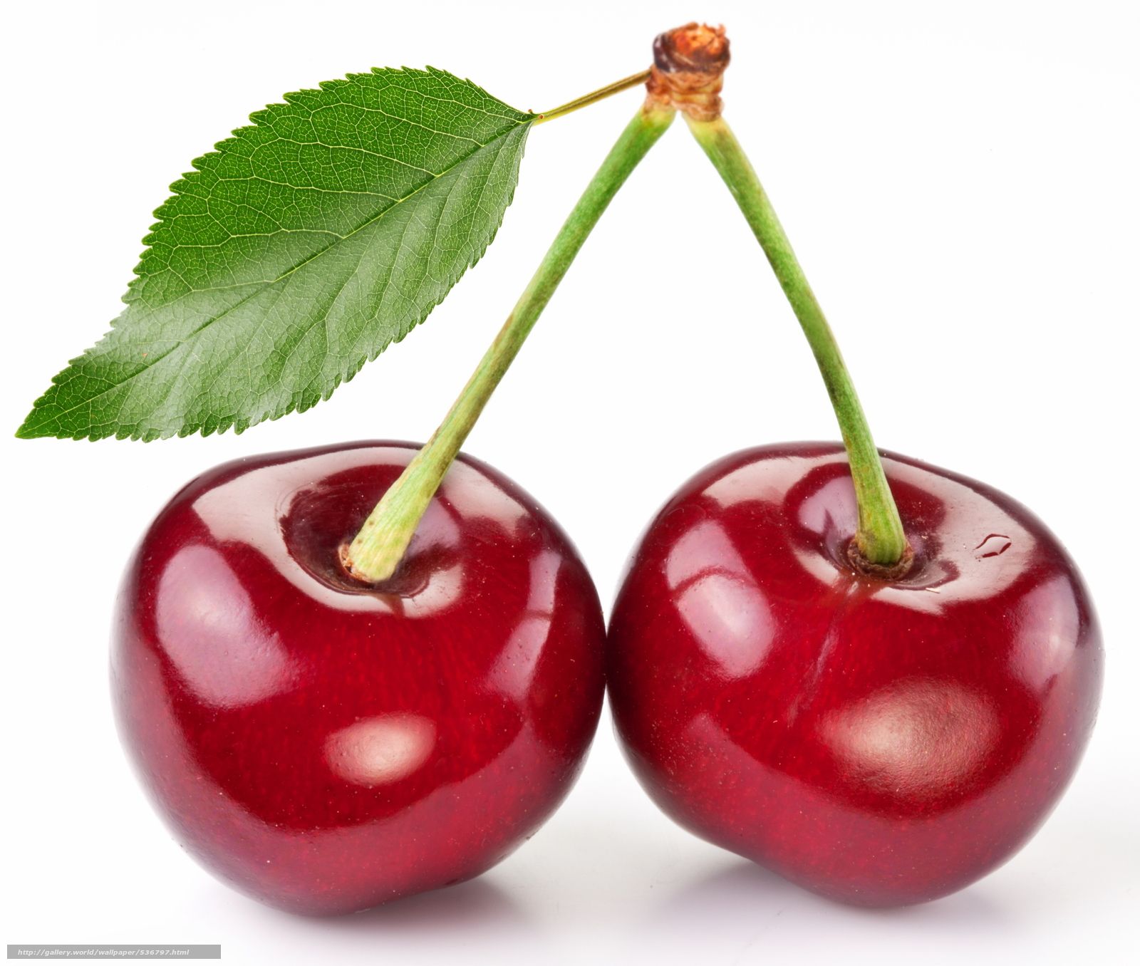 Cherry Fruit Available Near Me At Robert Harris Blog Cherry Fruit Available Near Me At Robert Harris Blog