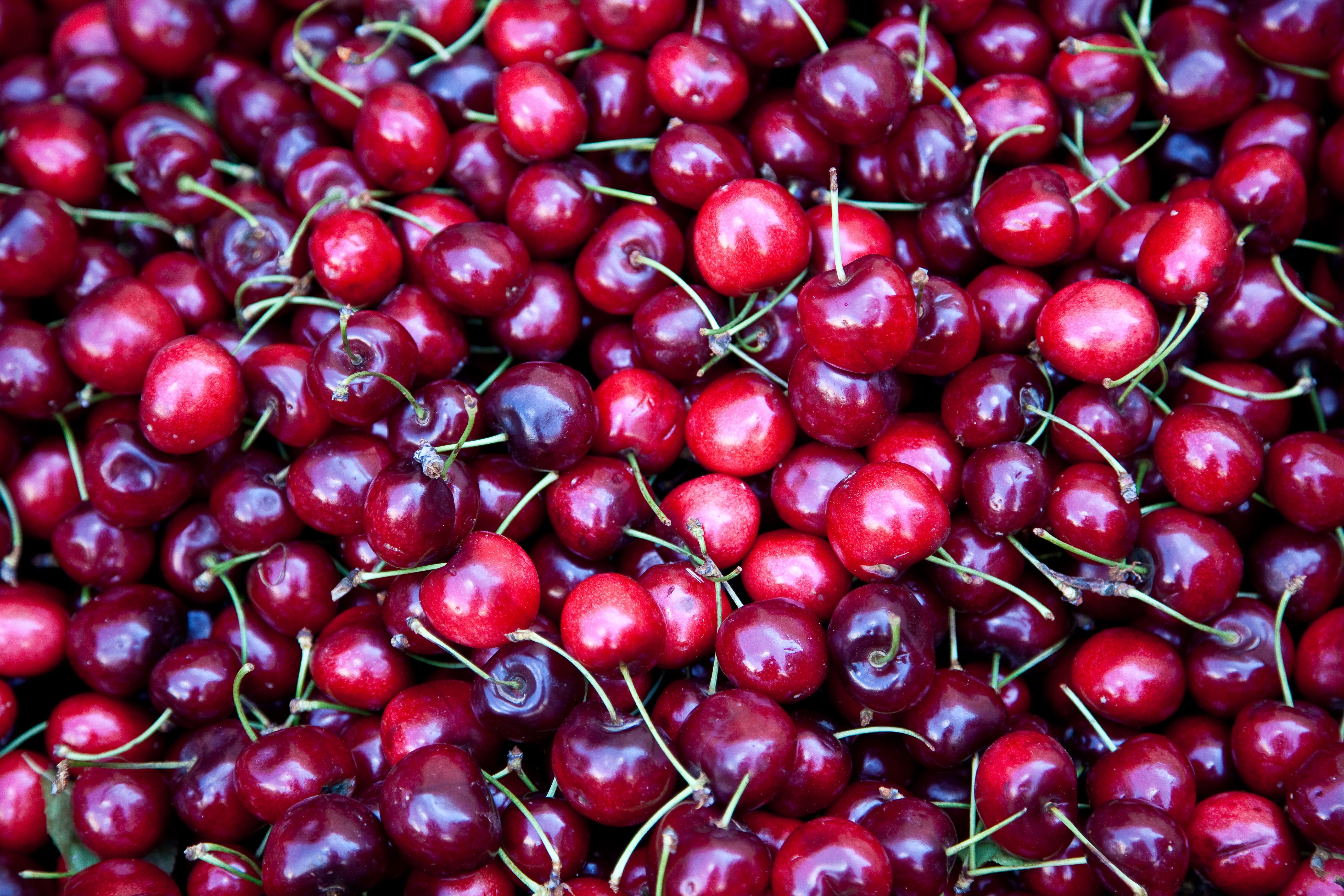 cherry fruit wallpaper