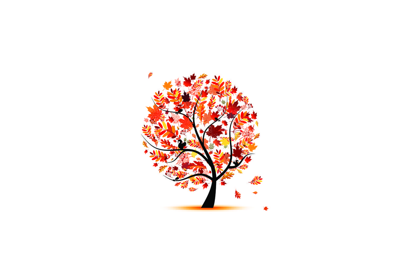 Wallpaper autumn, leaves, birds, tree, brightness image for desktop, section минимализм