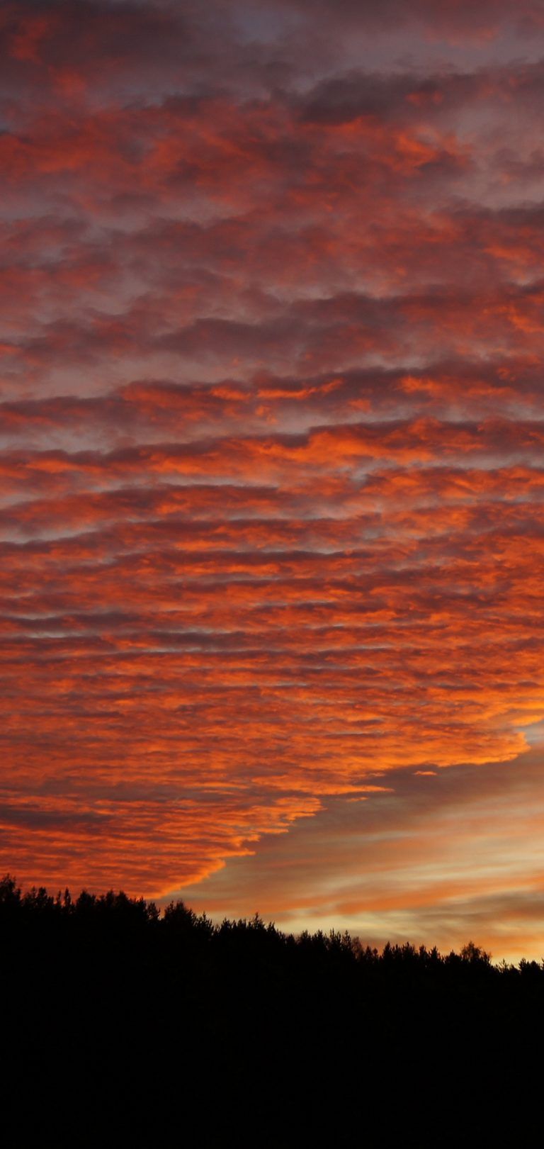 Sky Clouds Sunset Beautiful Wallpaper - [1440x3040]