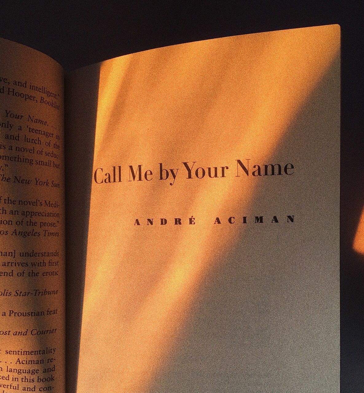 Book, Call Me By Your Name, And Cmbyn Image Me By Your Name Book Aesthetic