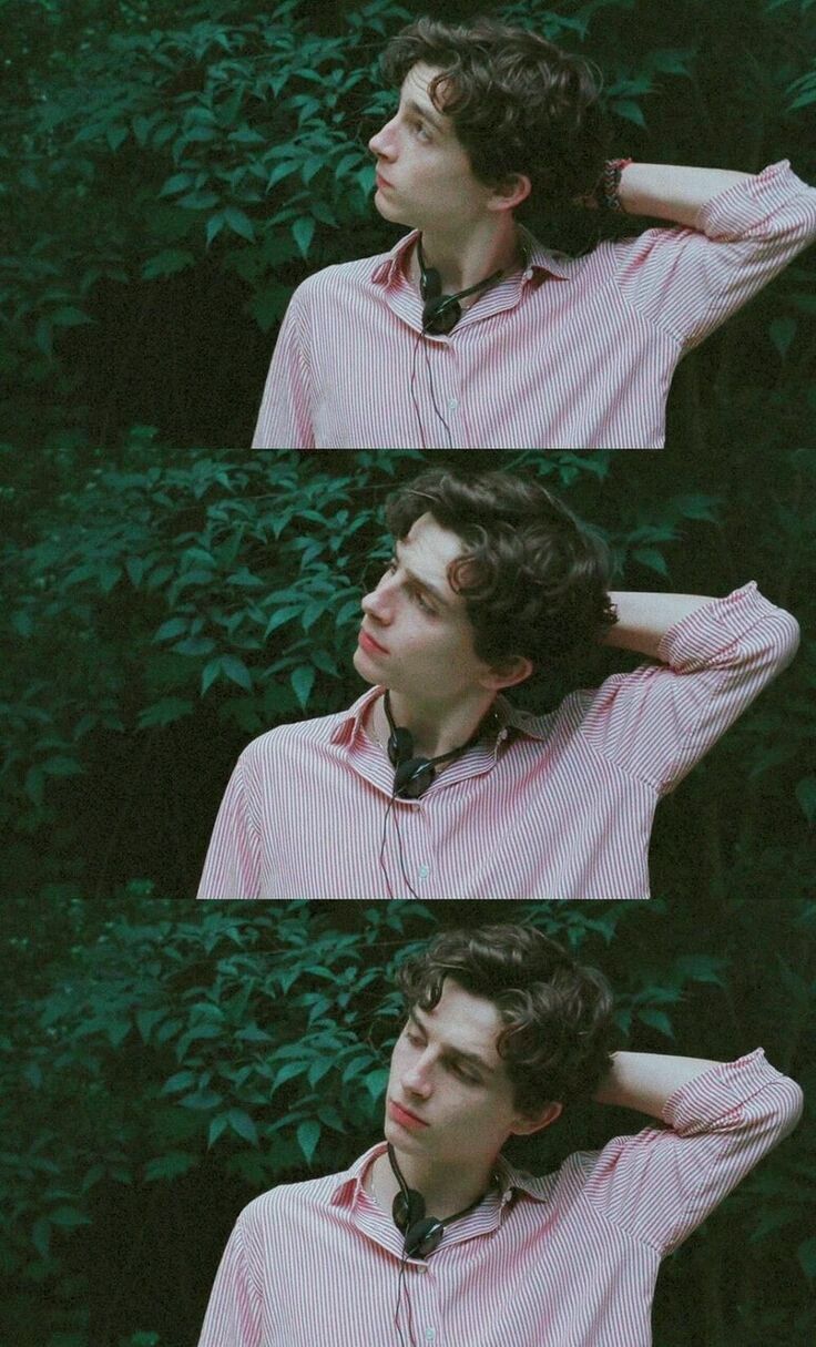 oliver and elio, love, cmbyn and wallpaper