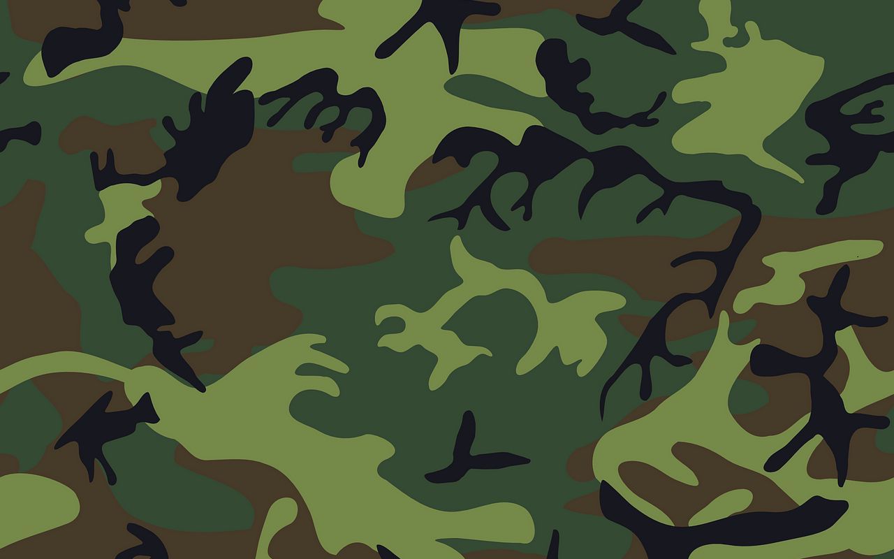 Download wallpaper 1280x800 camouflage, military, patterns, texture, green widescreen 16:10 HD background