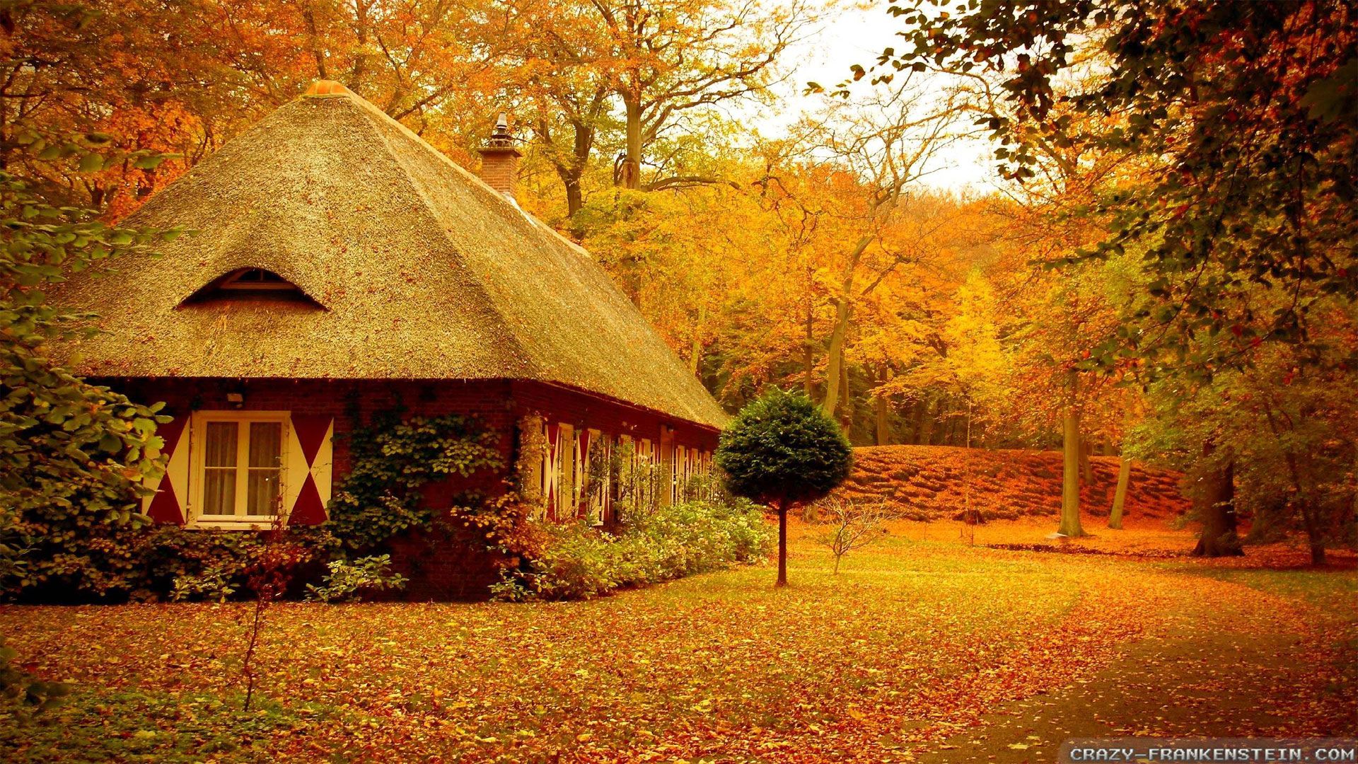 Autumn Wallpaper Examples for Your Desktop Background Development & Designing