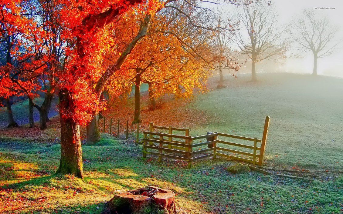 Beautiful Autumn painting on the field