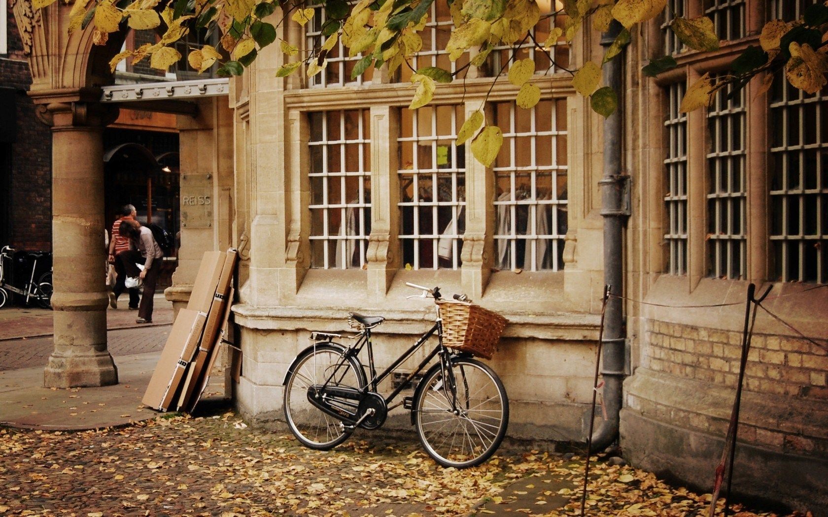 City Bicycle Basket Autumn Leaves wallpaperx1050