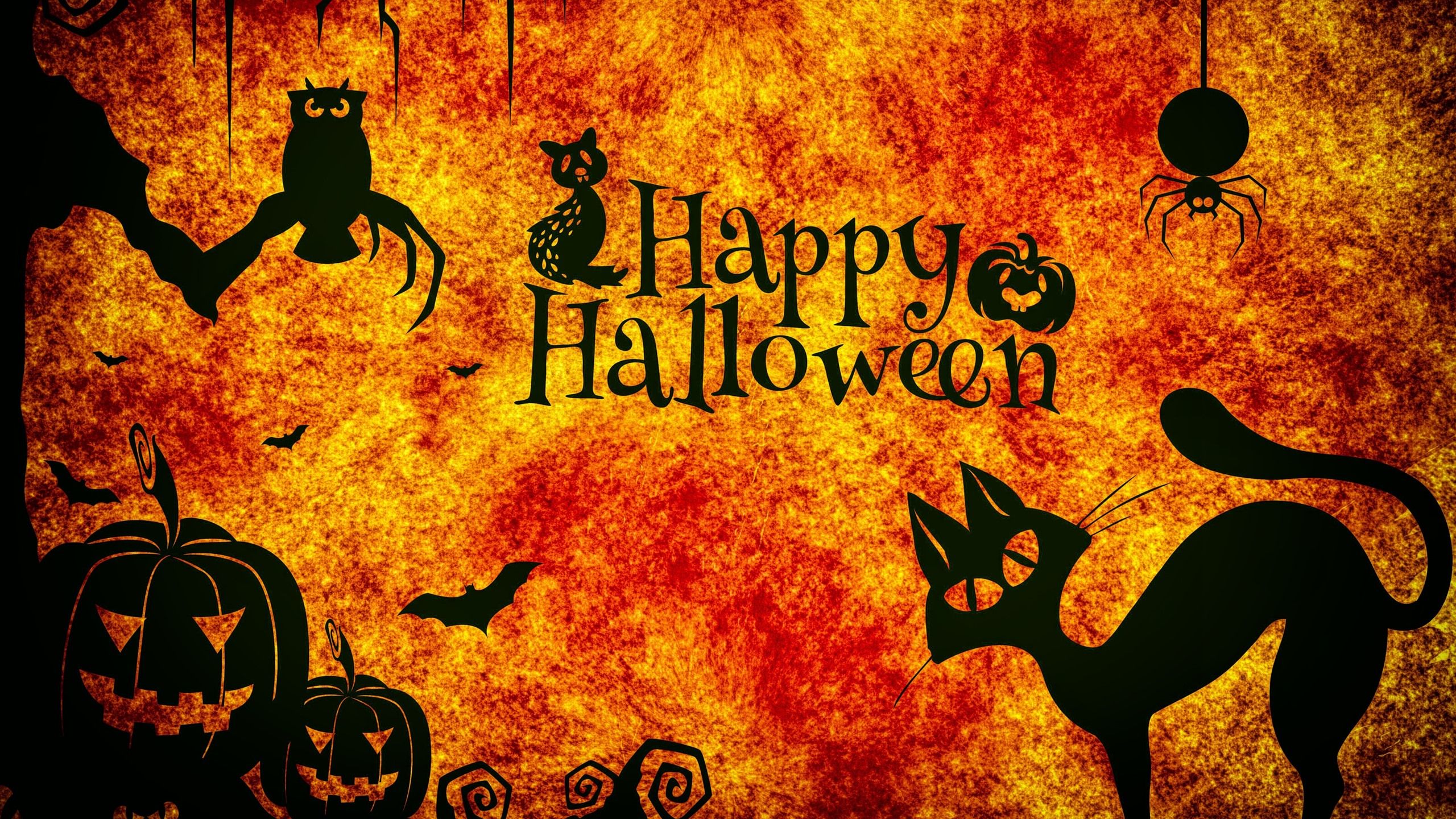 Happy Halloween, Night, Cats, Owl, Spider, Pumpkin 1242x2688 IPhone 11 Pro XS Max Wallpaper, Background, Picture, Image
