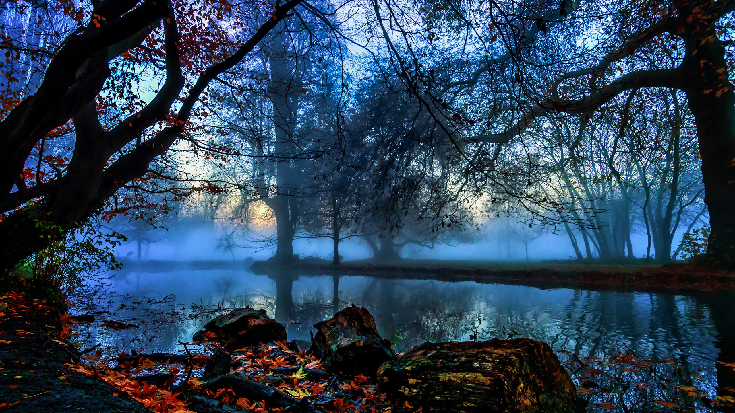 Picture London England Morden Hall Park Fog Nature Autumn 2560x1440