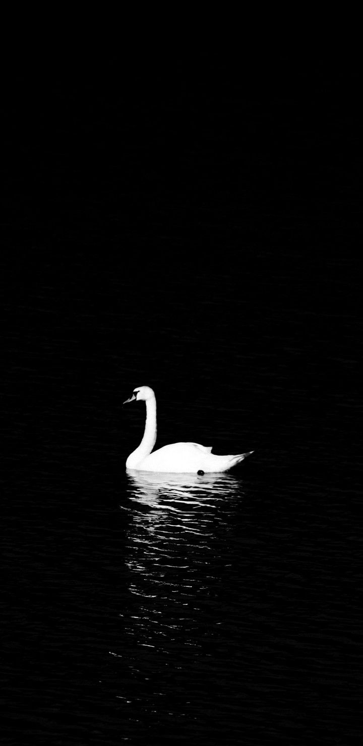 Black Swan BTS Wallpaper Free Black Swan BTS Background