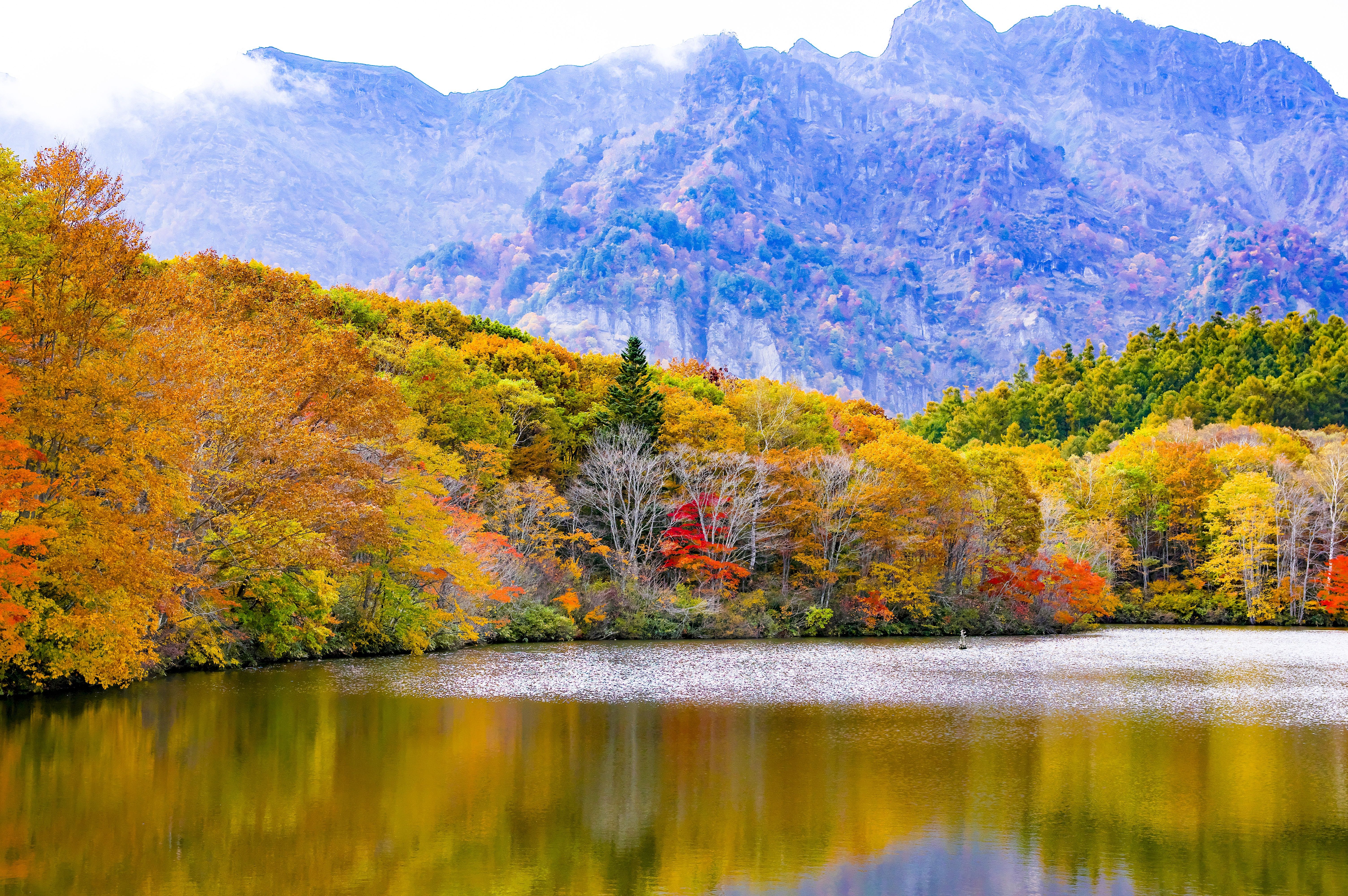 Autumn forest by the lake against the backdrop of the mountain, Japan Desktop wallpaper 1680x1050