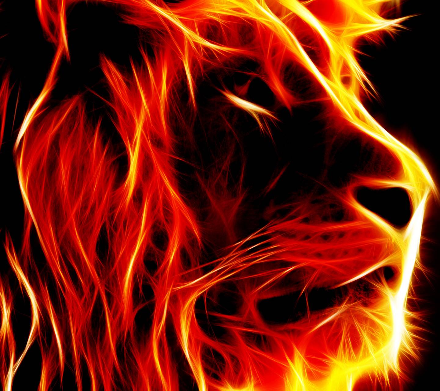 Fire lion Wallpaper by ZEDGE™