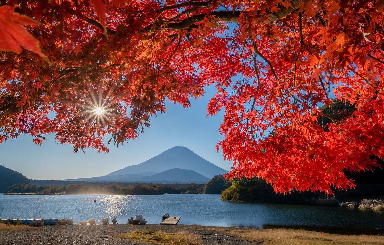 Wallpaper autumn, leaves, lake, Japan, mount Fuji image for desktop, section пейзажи