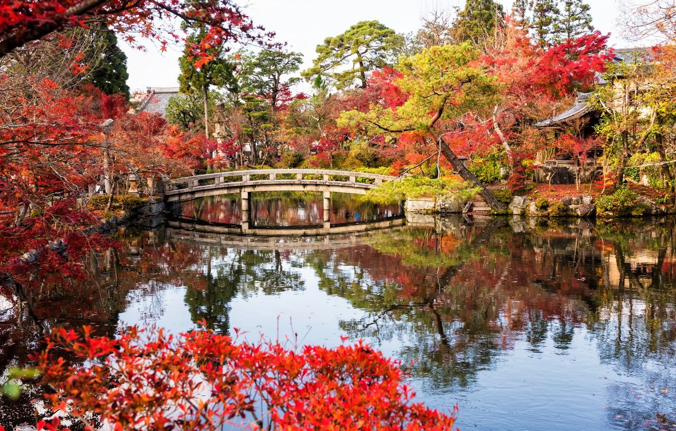 Wallpaper autumn, leaves, trees, bridge, lake, Park, Japan, Japan, Kyoto, Kyoto, landscape, bridge, park, autumn, lake, leaves image for desktop, section пейзажи