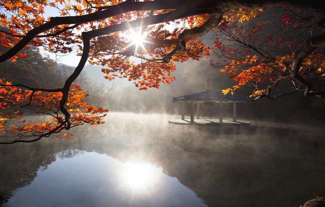 Wallpaper autumn, leaves, water, the sun, light, nature, lake, tree, Japan, pagoda, Japan, water, lake, leaves, tree, sun image for desktop, section природа