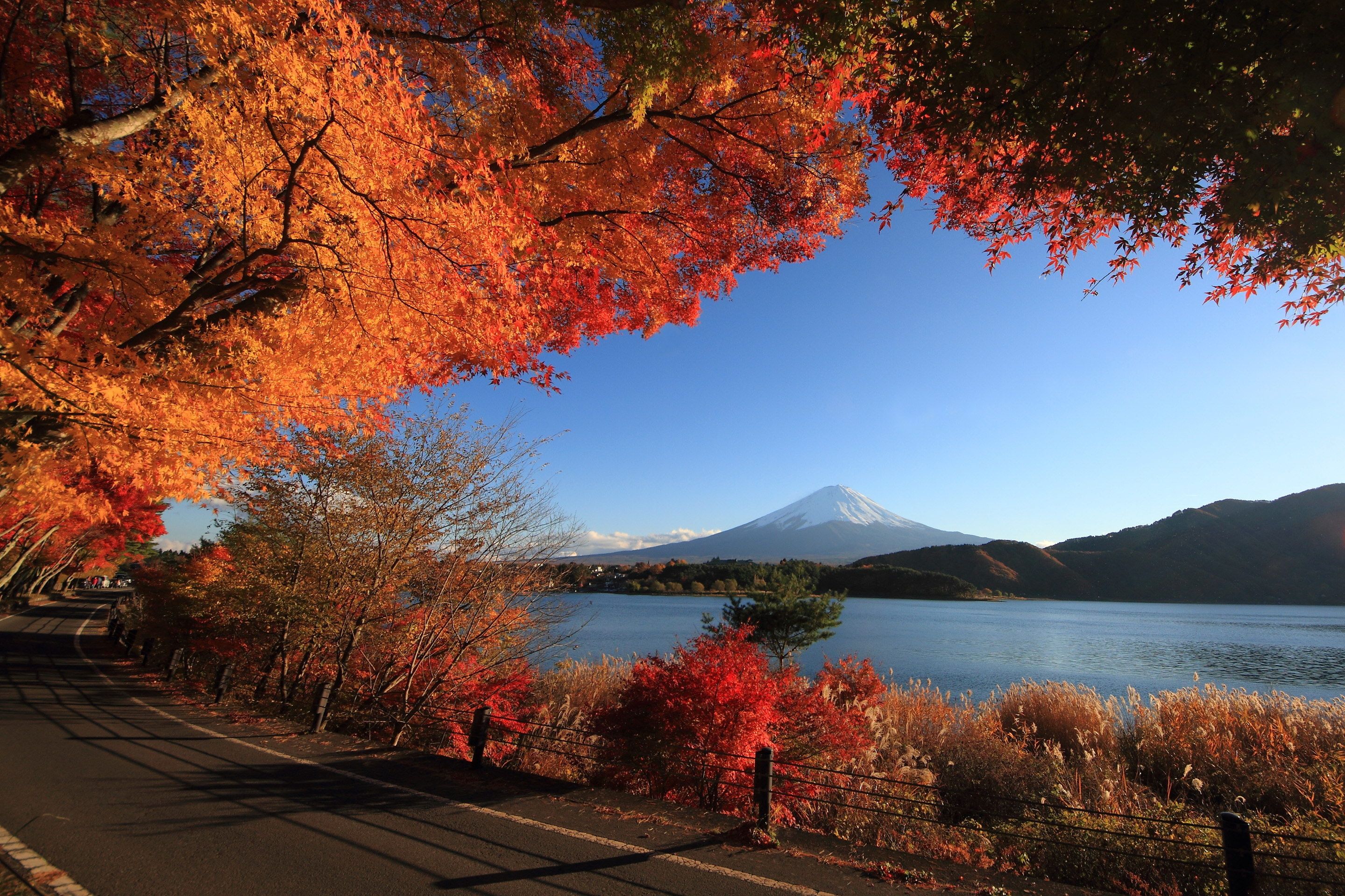 Wallpaper fuji, volcano, japan, lake, road, tree, autumn desktop wallpaper Nature GoodWP.com
