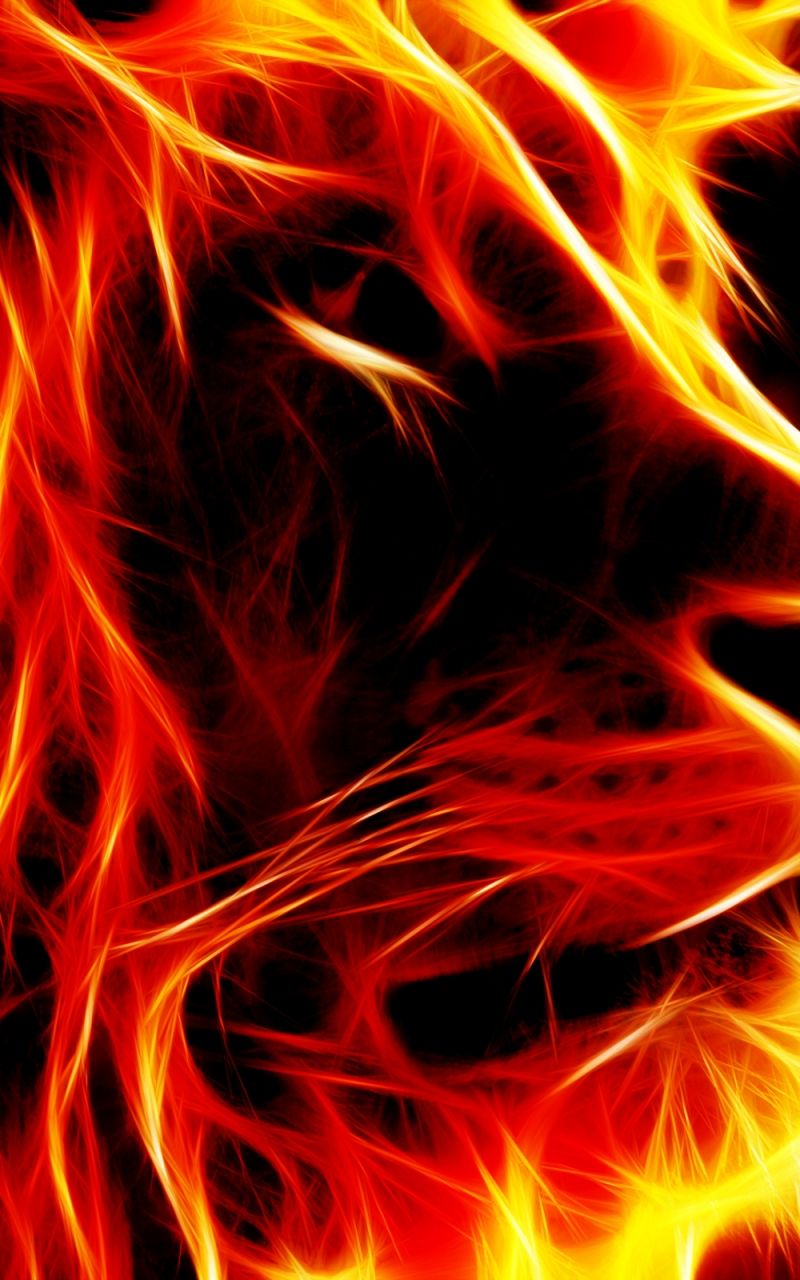 Free download Lion shaped picture of fire free picture [2560x1600] for your Desktop, Mobile & Tablet. Explore Red and Blue Fire Wallpaper. Blue and White Wallpaper Designs, Blue Wallpaper