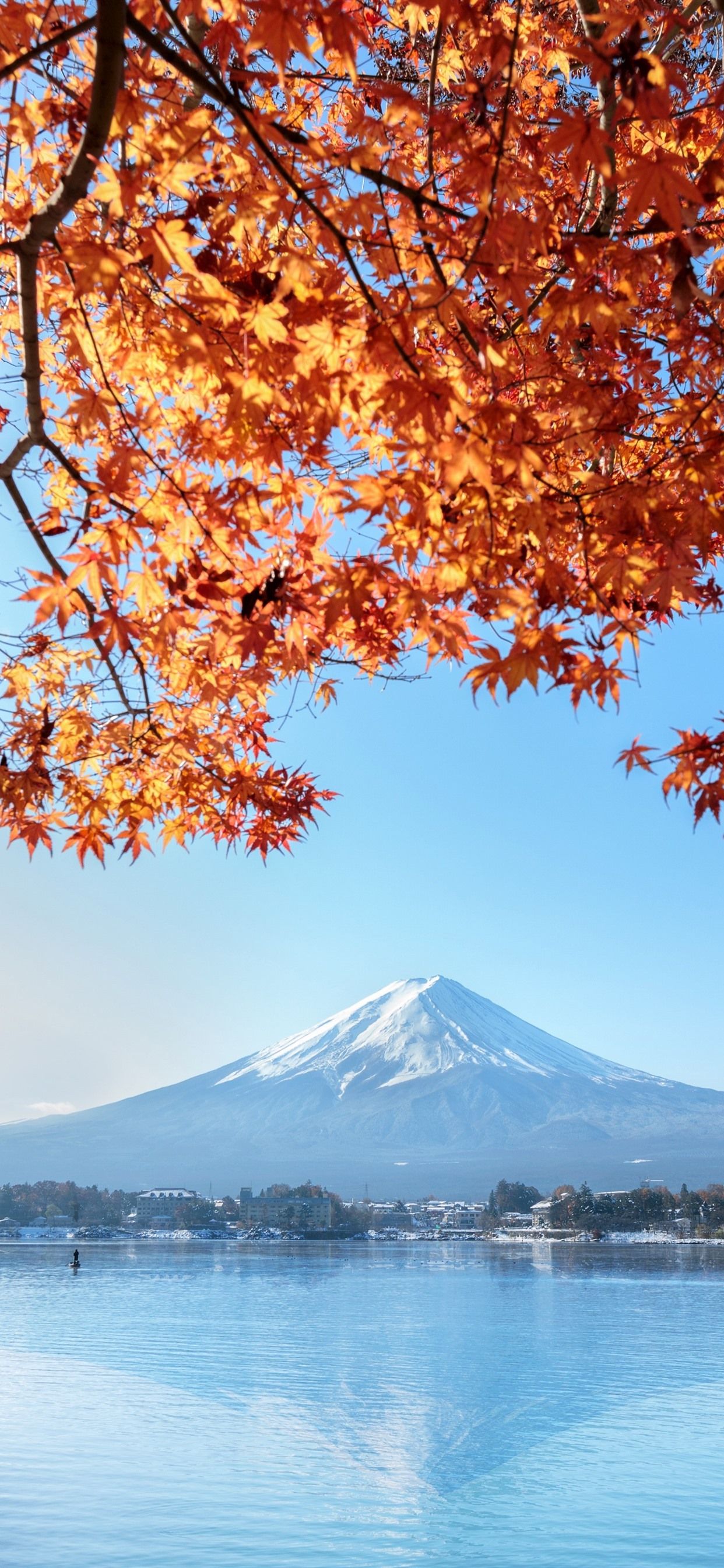 Fuji Mountain, Red Maple Leaves, Lake, Autumn, Japan 1242x2688 IPhone 11 Pro XS Max Wallpaper, Background, Picture, Image