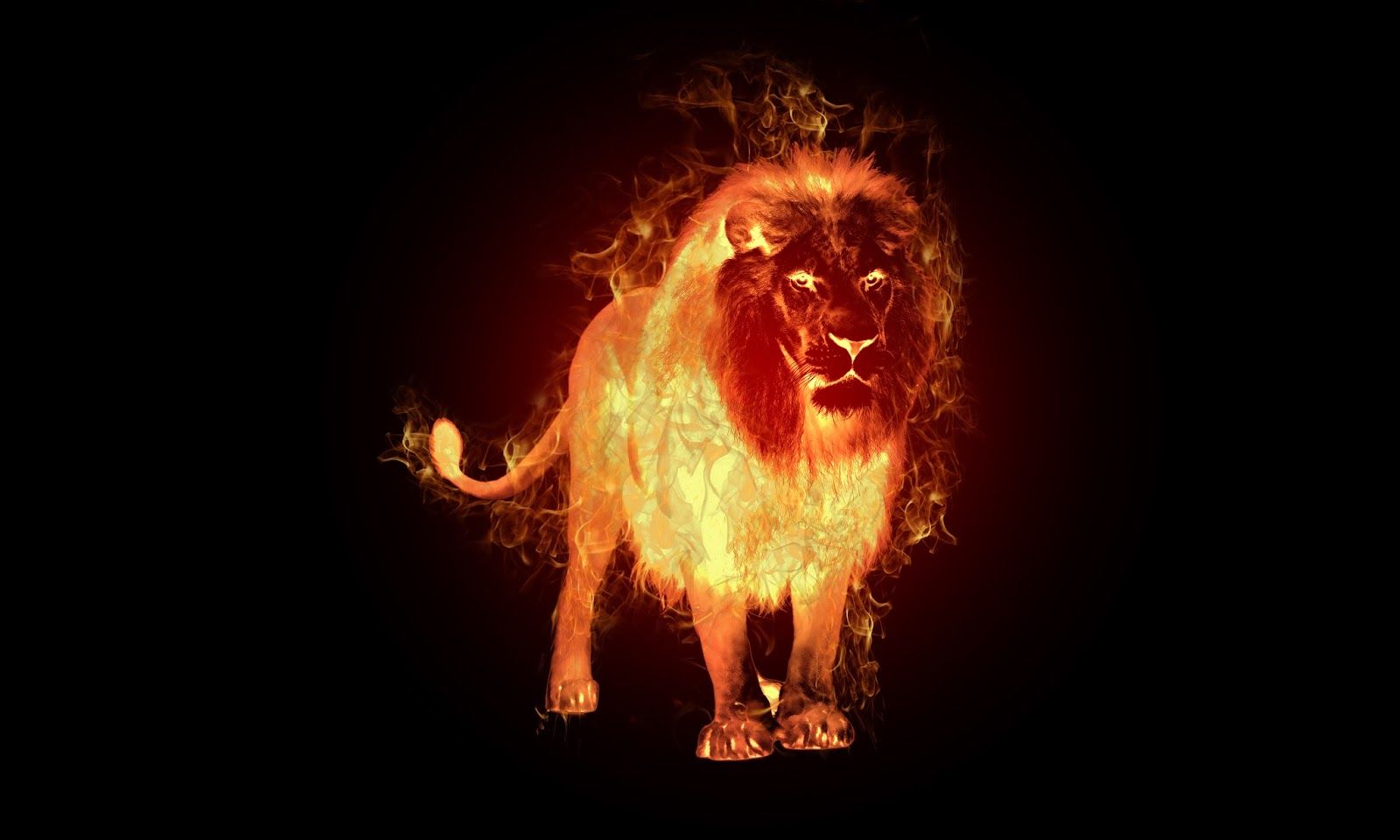 Fond D Écran Lion Noir Et Blanc, fond D Écran De Lion, fond Lion Spirit Animal HD Wallpaper