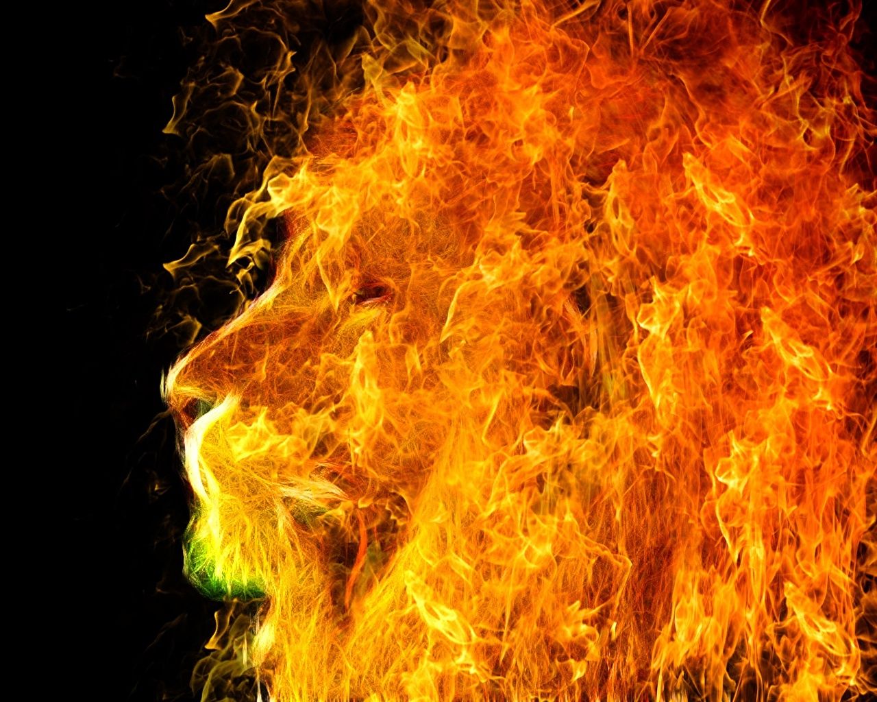 Wallpaper lion Fire