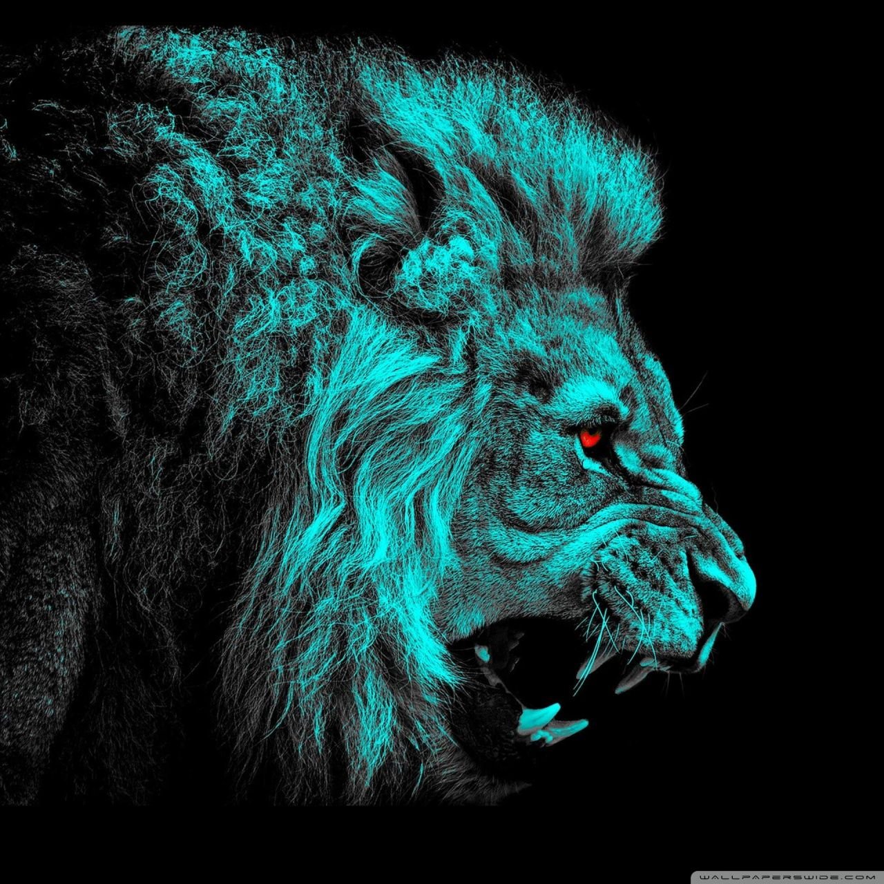 green lion Ultra HD Desktop Background Wallpaper for