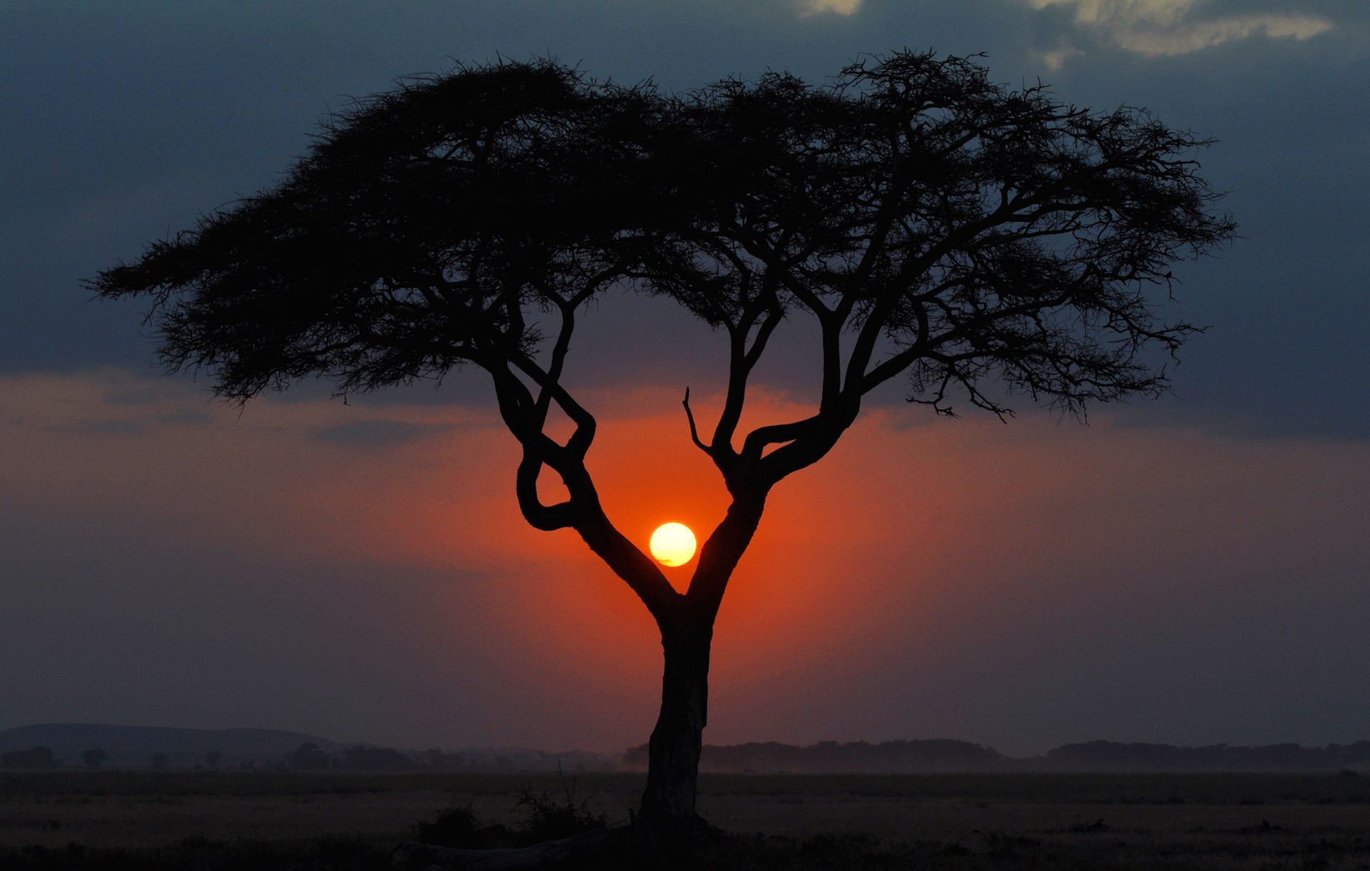 African Savanna Sunset Wallpaper