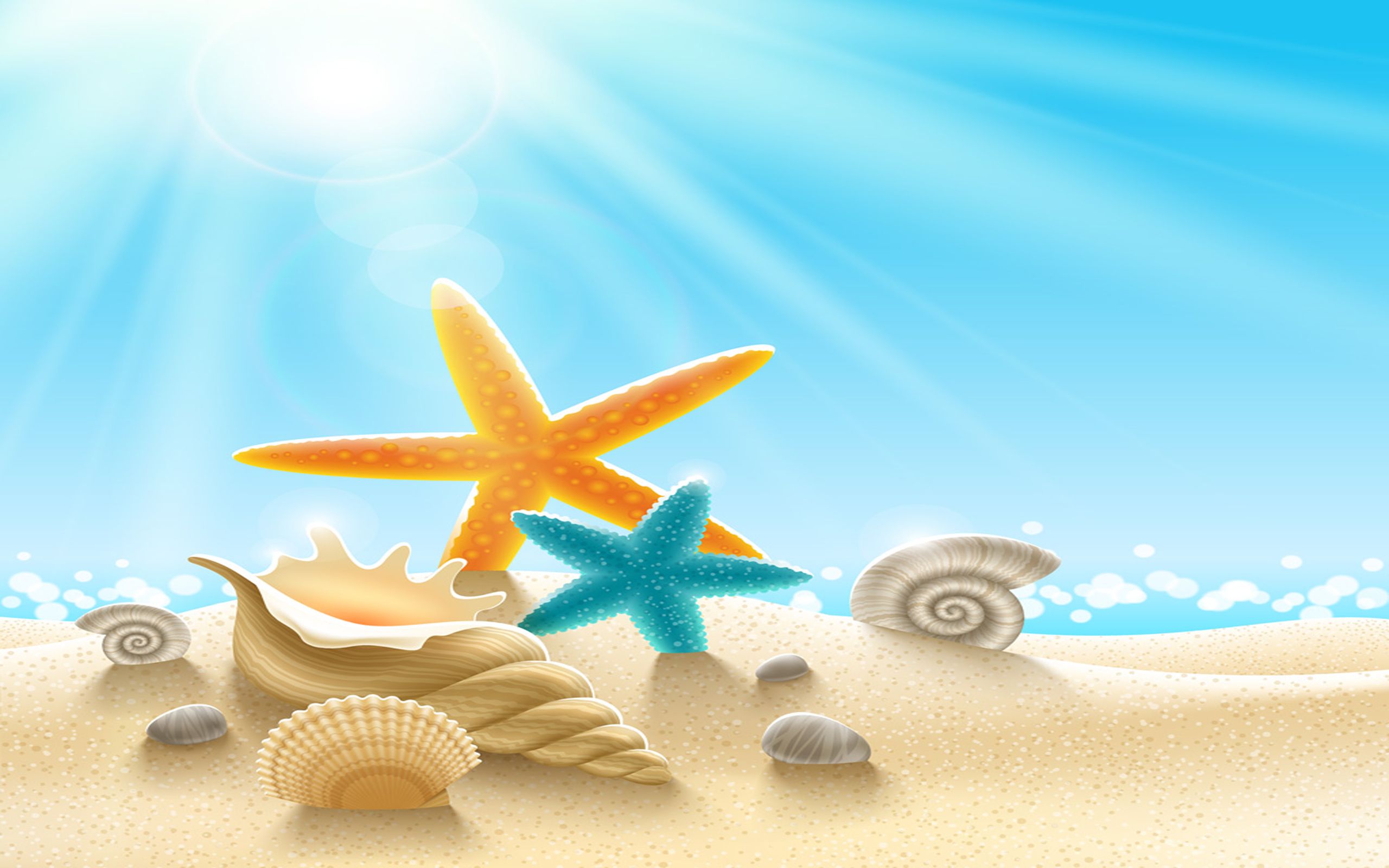 Underwater World Sea Stars Clams Snails Sand Sunlight Desktop HD Wallpaper 2560x1600, Wallpaper13.com