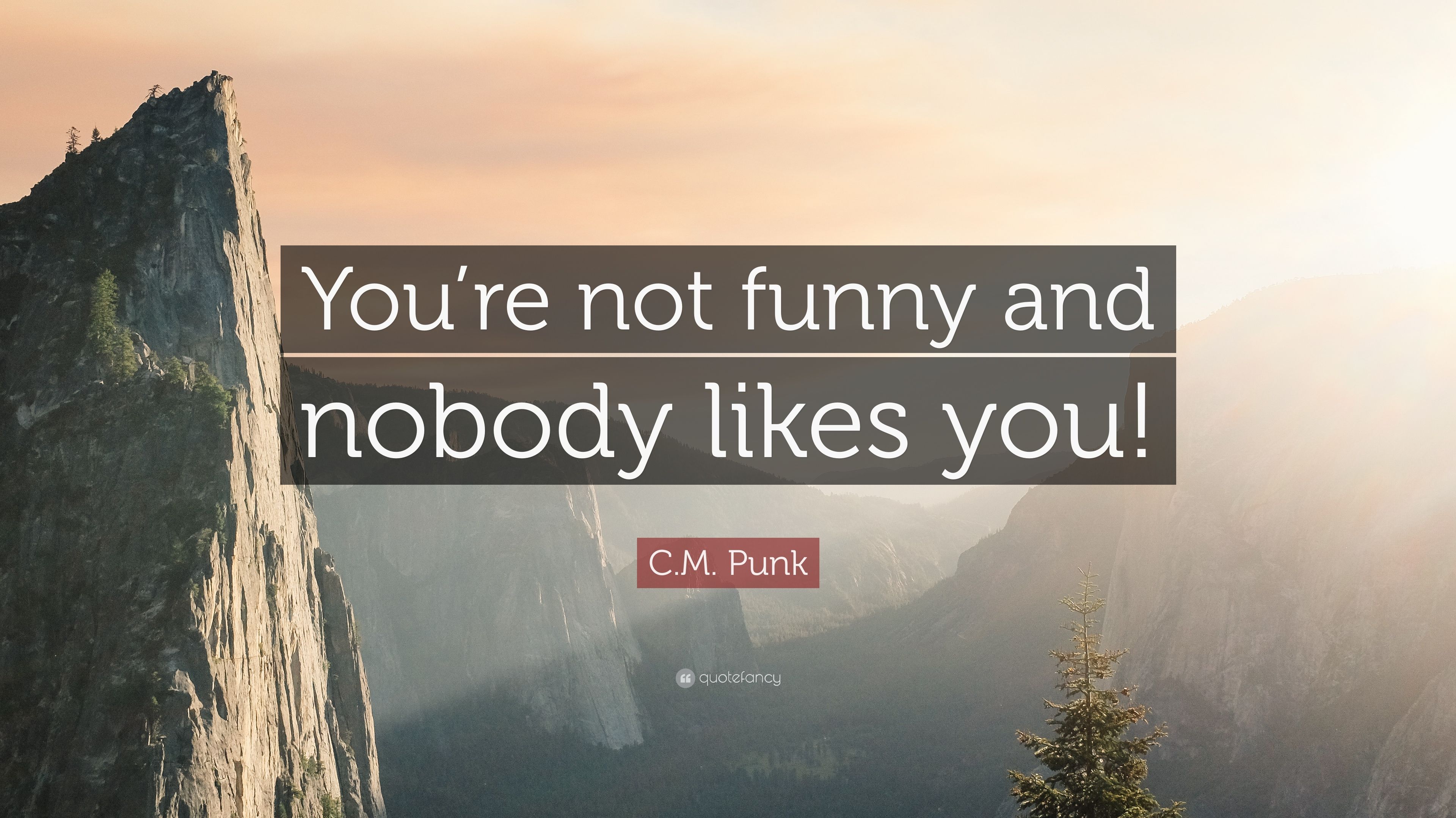 C.M. Punk Quote: “You're not funny and nobody likes you!” (12 wallpaper)