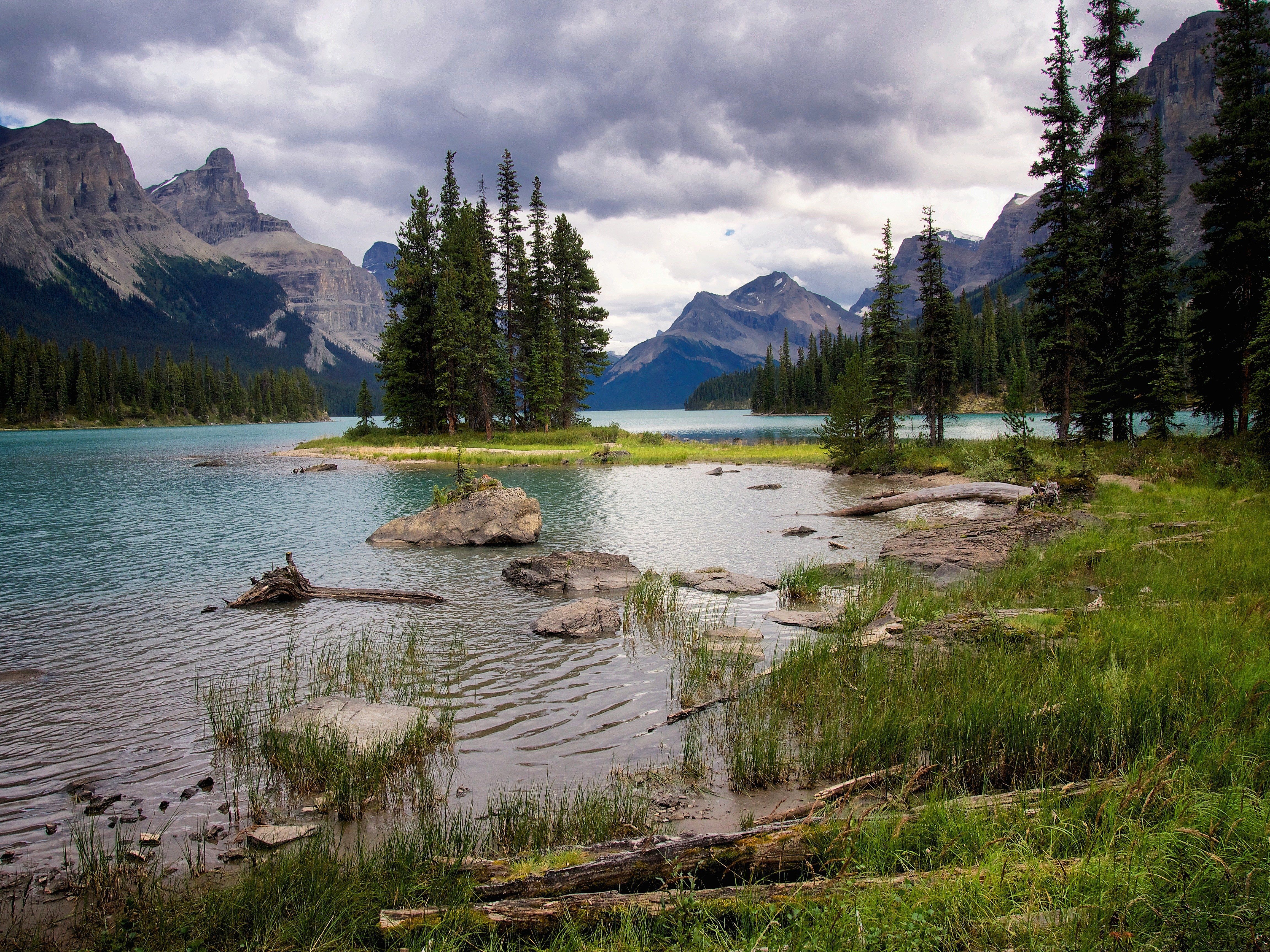 Much of the natural landscape has been