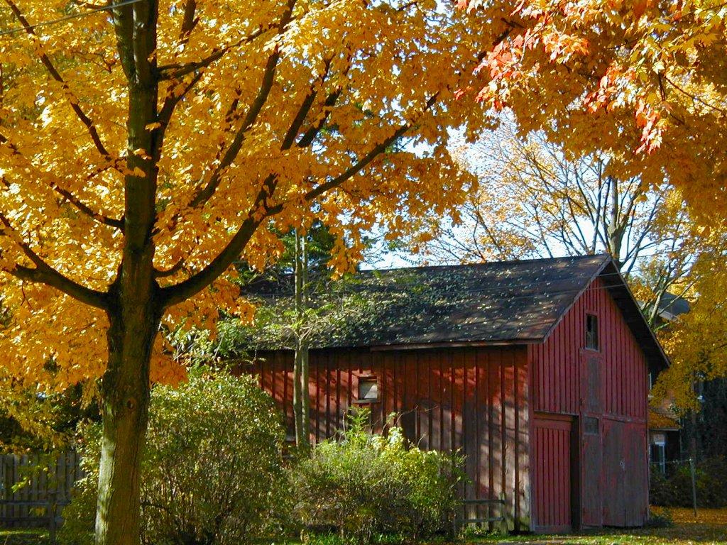 Free download red barns with fall picture Car Picture [1024x768] for your Desktop, Mobile & Tablet. Explore Snowy Red Barn Desktop Wallpaper. Old Barns Wallpaper, Red Barn Wallpaper, Barn Wallpaper