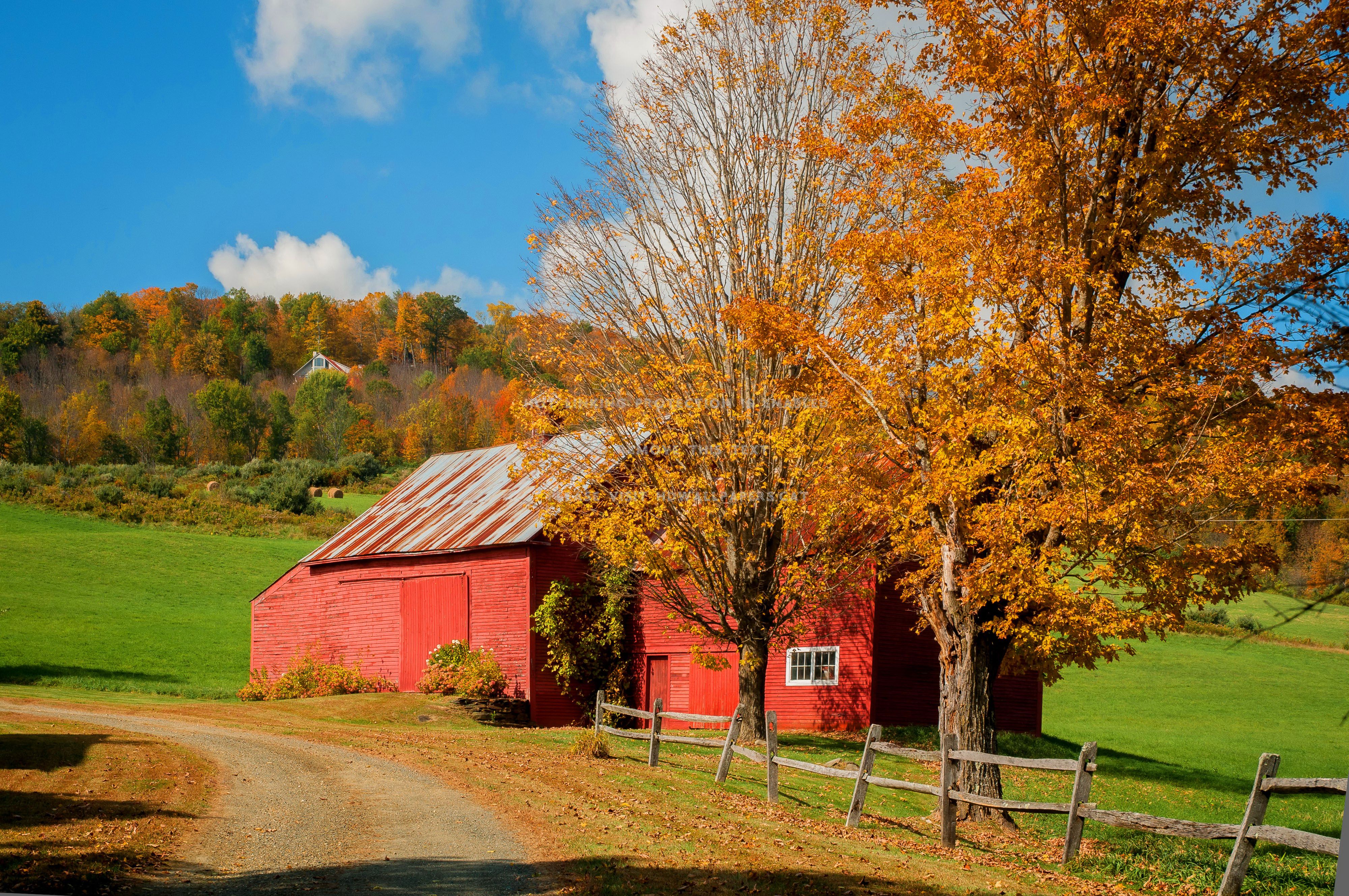 autumn red barn lovely vermont nature trees