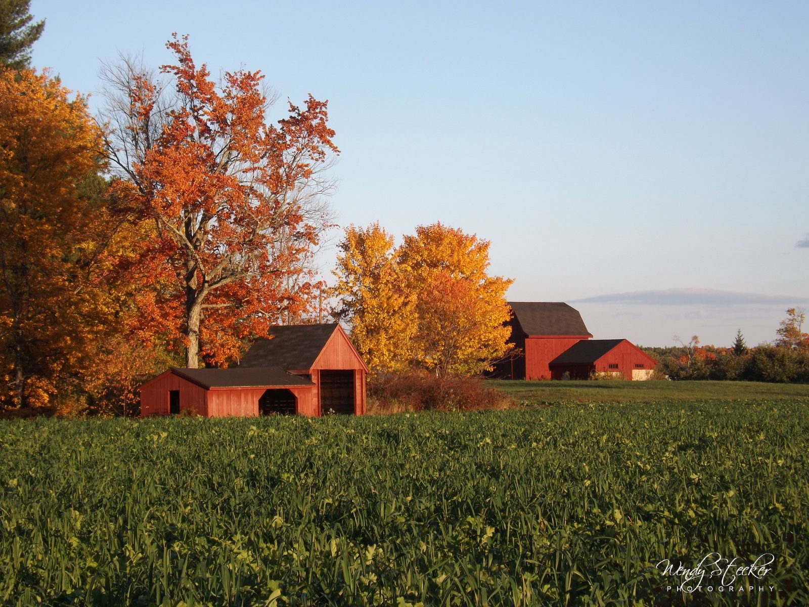 New England Red Barns Landscape Photo Photo that Capture the Unique Beauty of New England