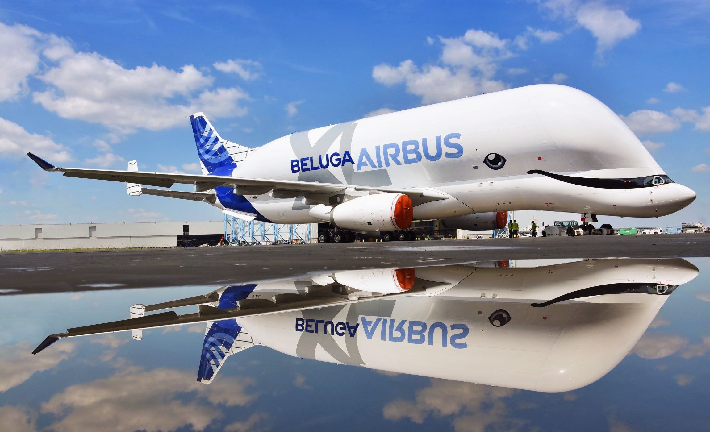 the plane #Reflection the plane #Cargo #Airbus #Beluga #A300 Airbus Beluga Super Transporter Beluga XL cargo Airbus Airbus Beluga XL Air. Airbus, Aircraft, Beluga