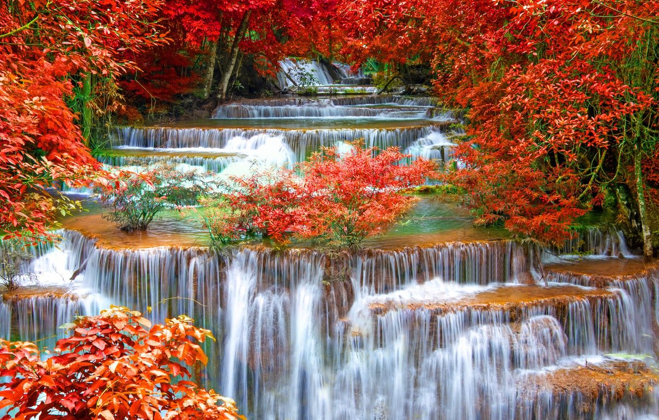 Wallpaper autumn, forest, landscape, waterfall, nature, water, autumn, waterfall image for desktop, section природа